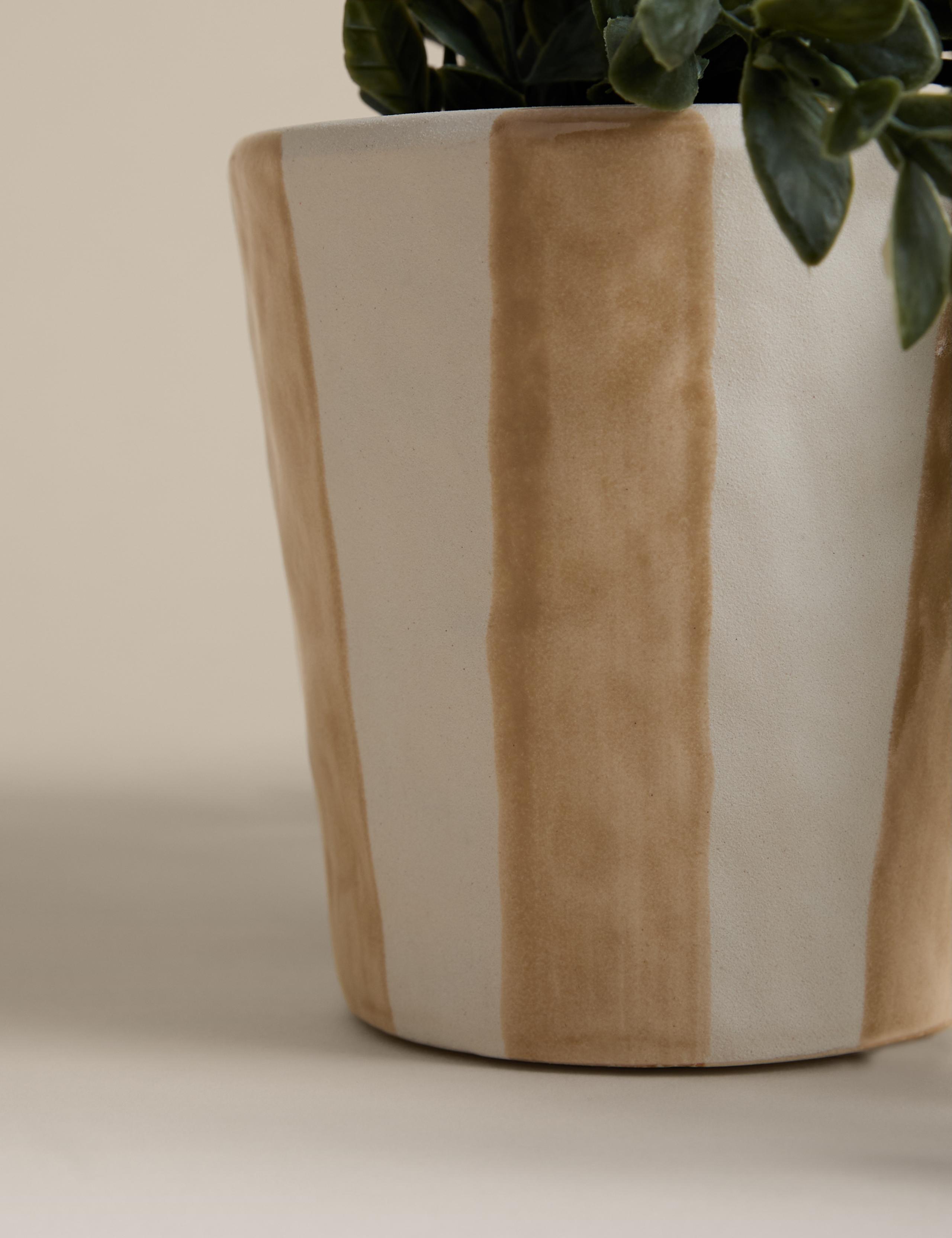 Artificial Trailing Boxwood in Stripe Ceramic Pot 3 of 3