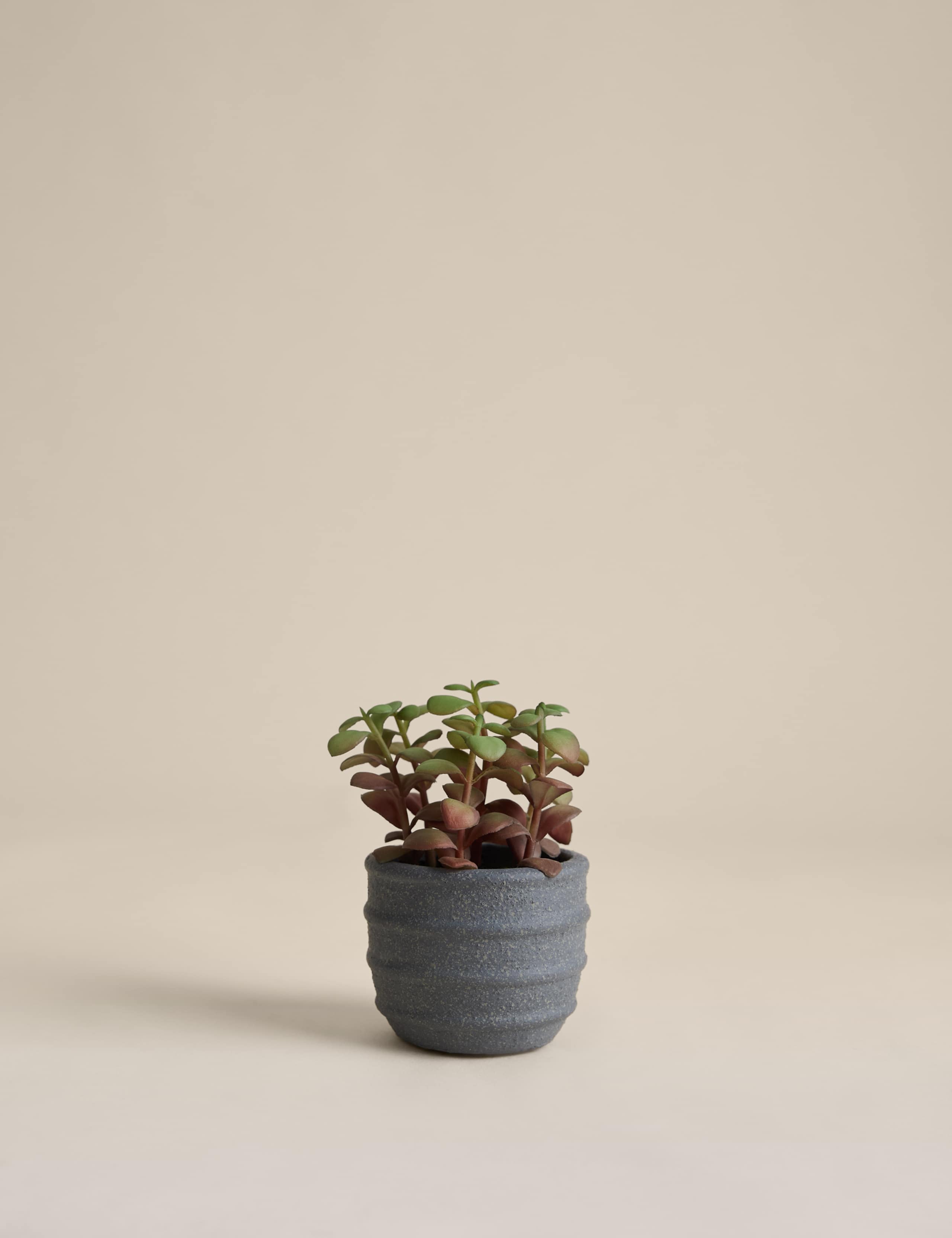 Artificial Mini Succulent in Ridged Concrete Pot 1 of 3