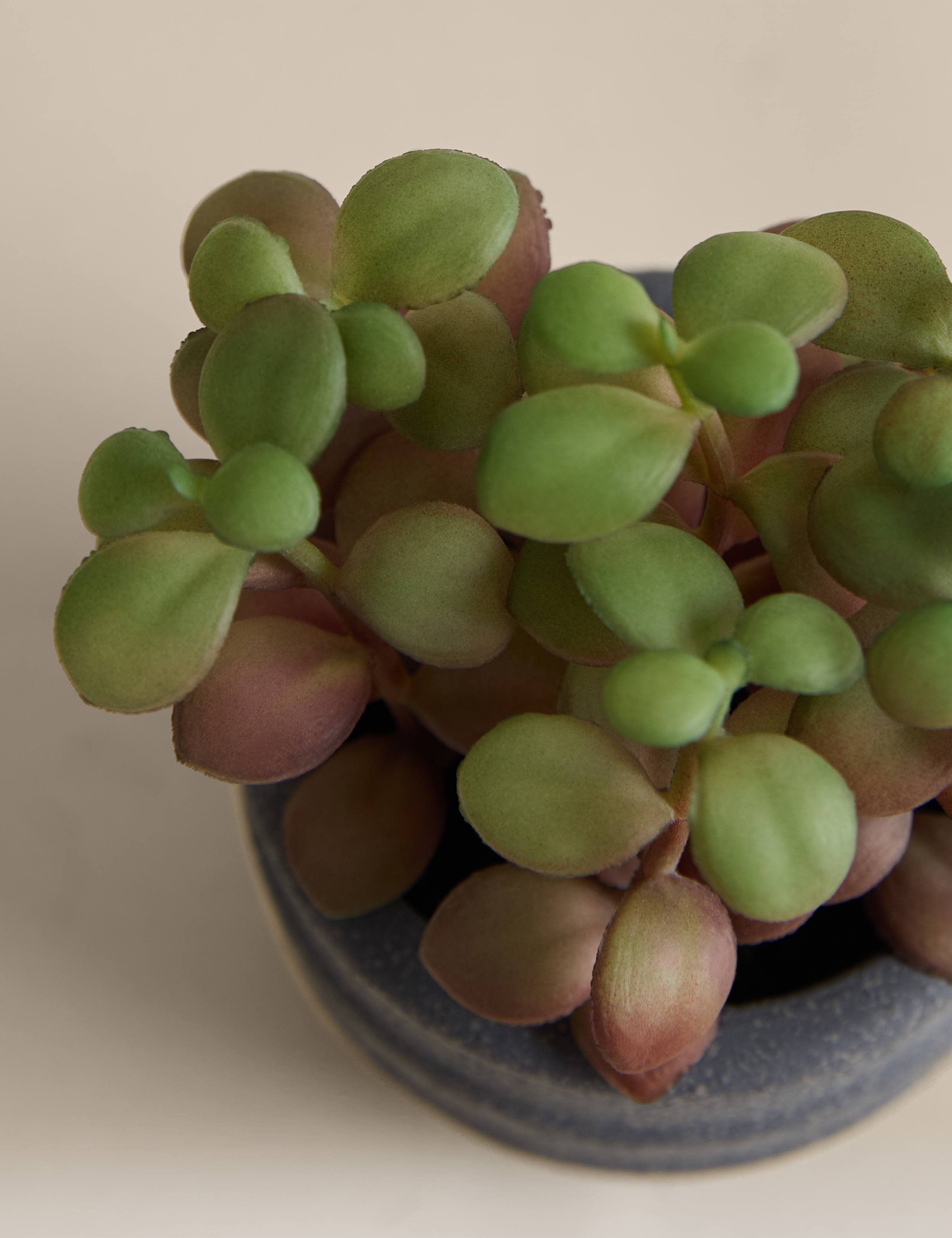 Artificial Mini Succulent in Ridged Concrete Pot 2 of 3