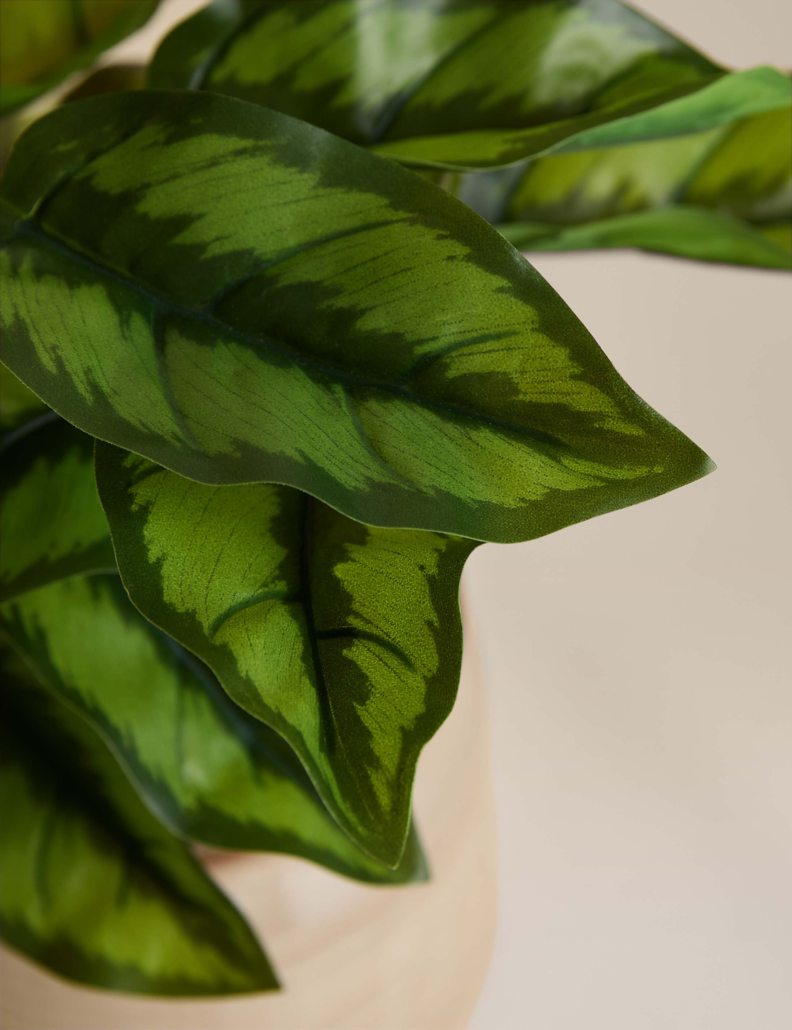 Artificial Variated Leaf Plant in Ceramic Pot 3 of 3