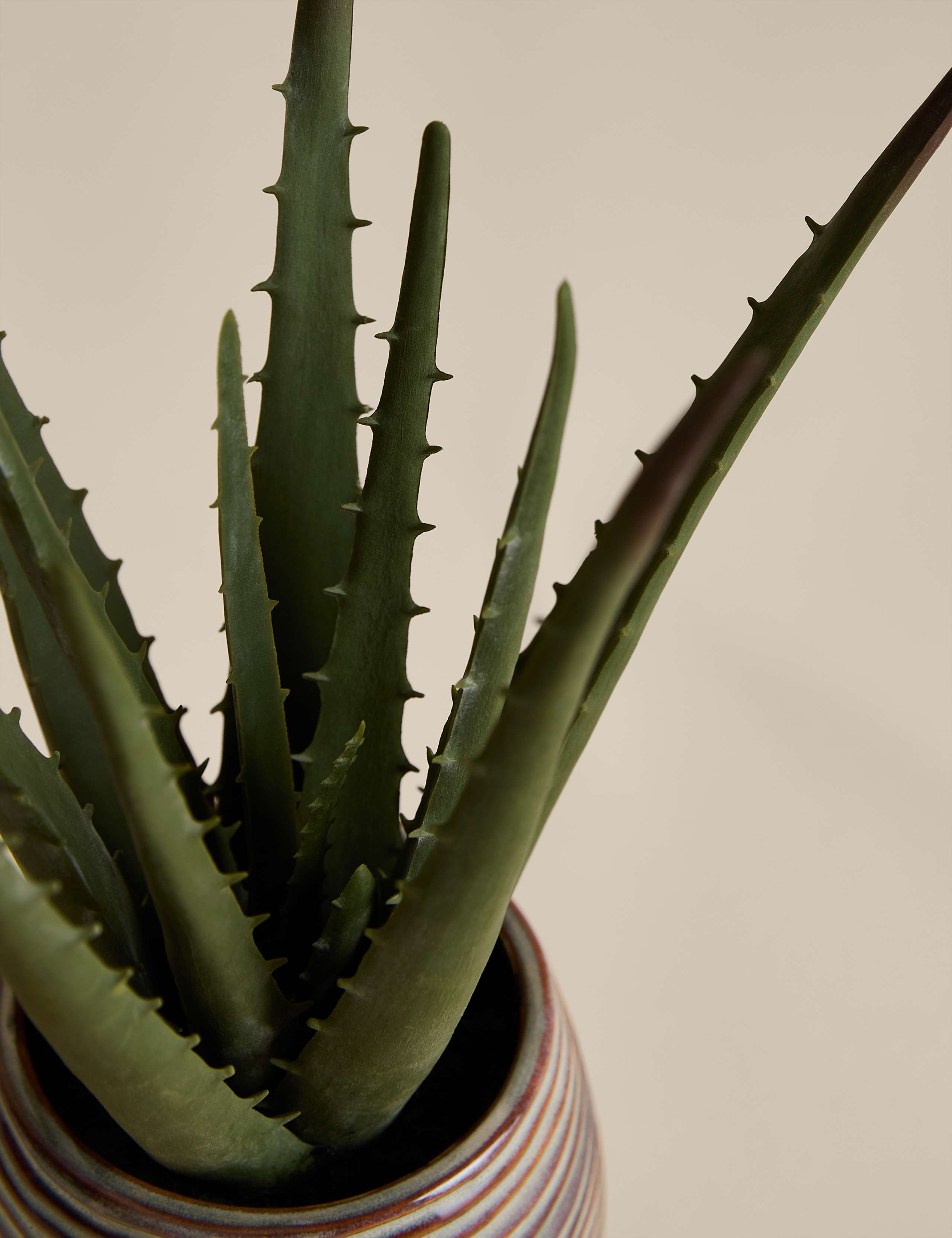 Artificial Aloe Vera in Ceramic Pot 3 of 3