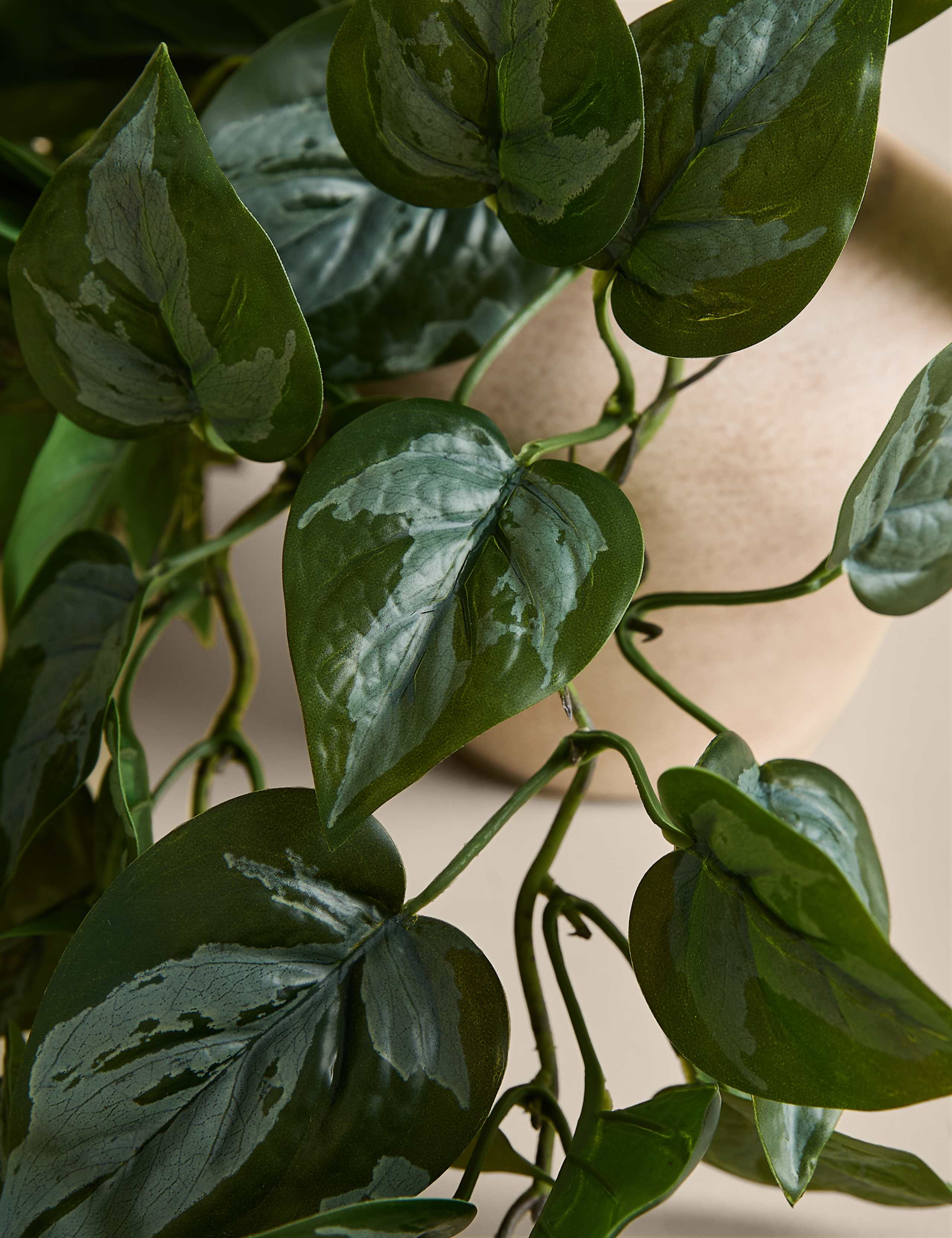 Artificial Trailing Pothos Vase 3 of 3