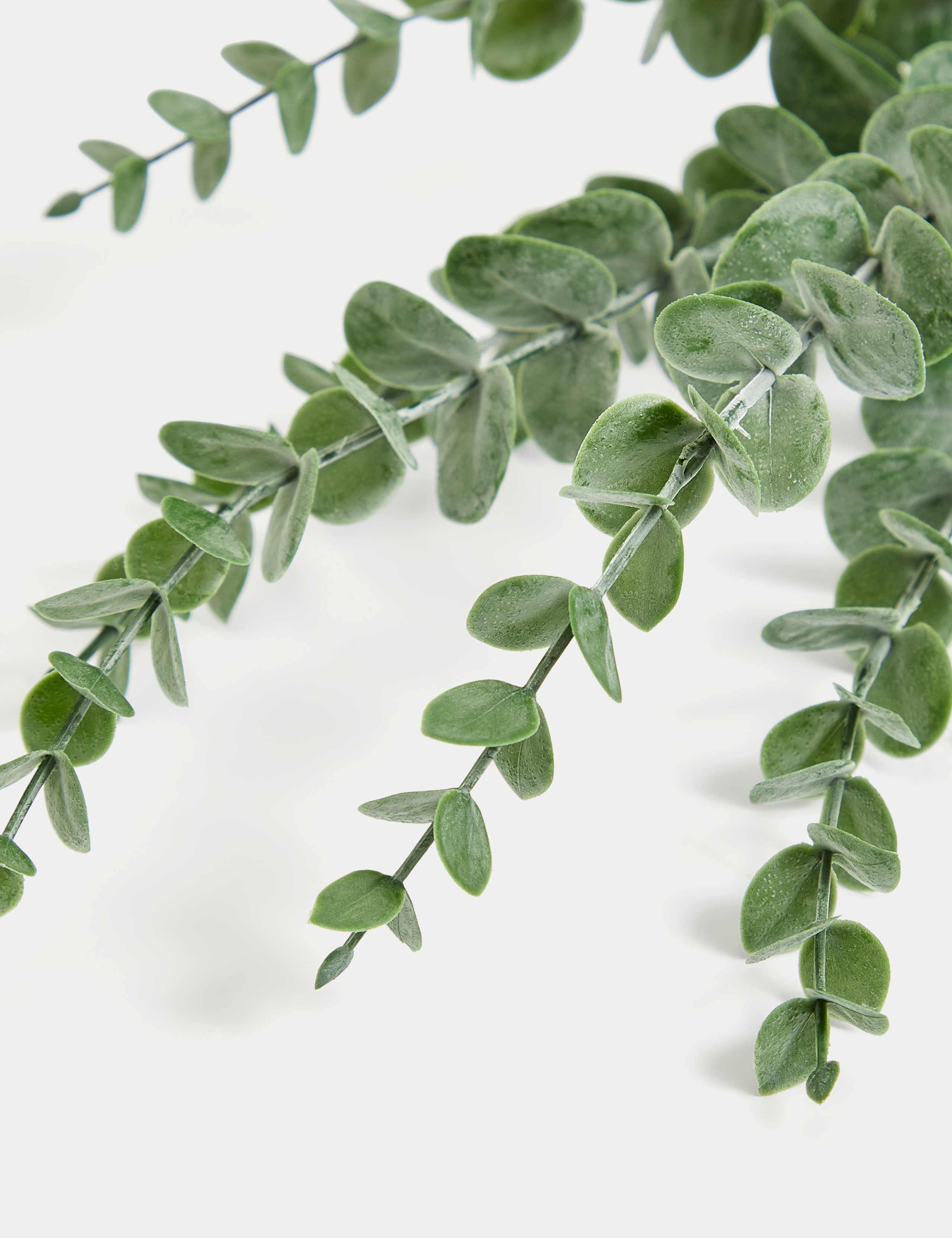 Set of 3 Artificial Eucalyptus Single Stems 4 of 4