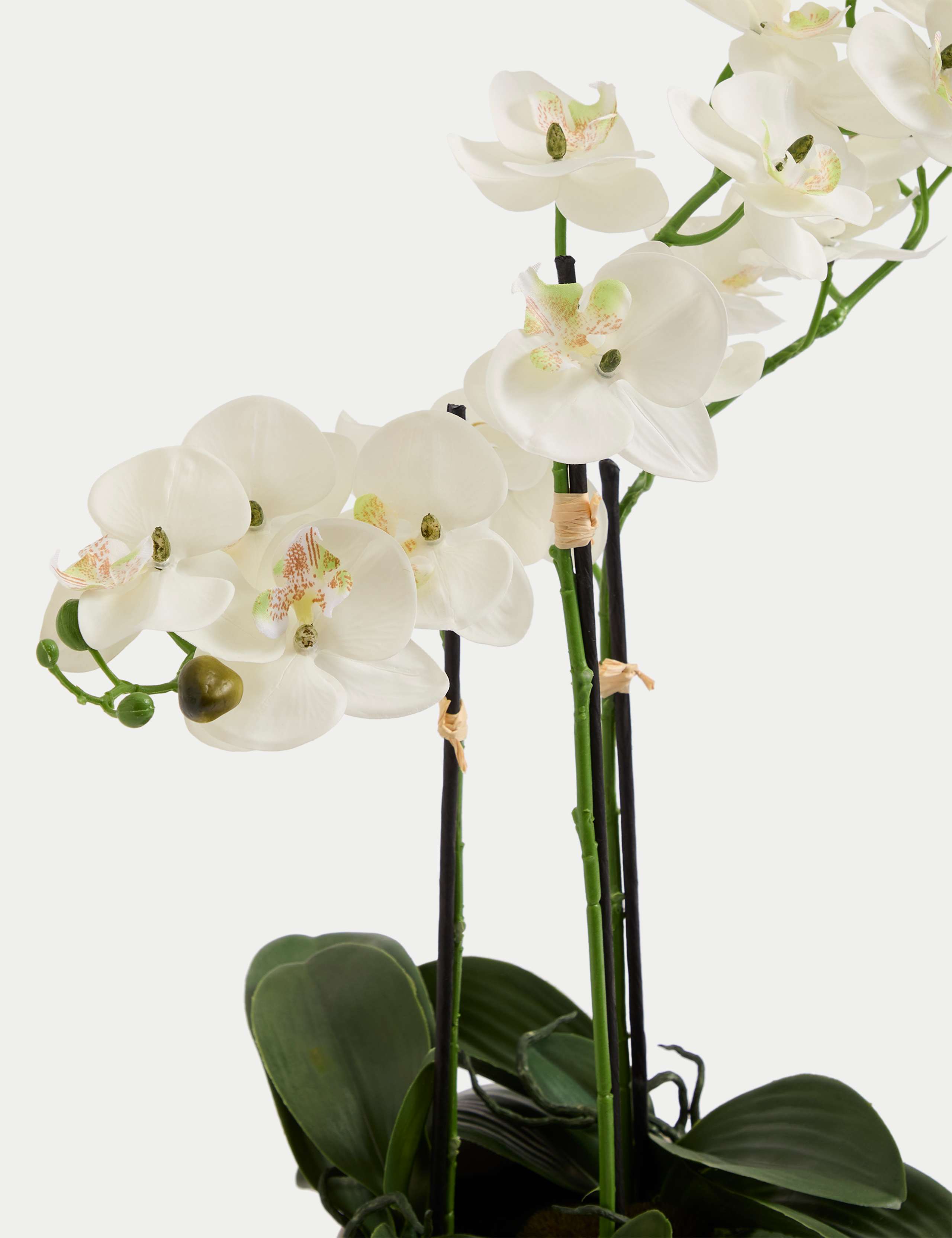 Artificial Large Orchid Plant 5 of 7