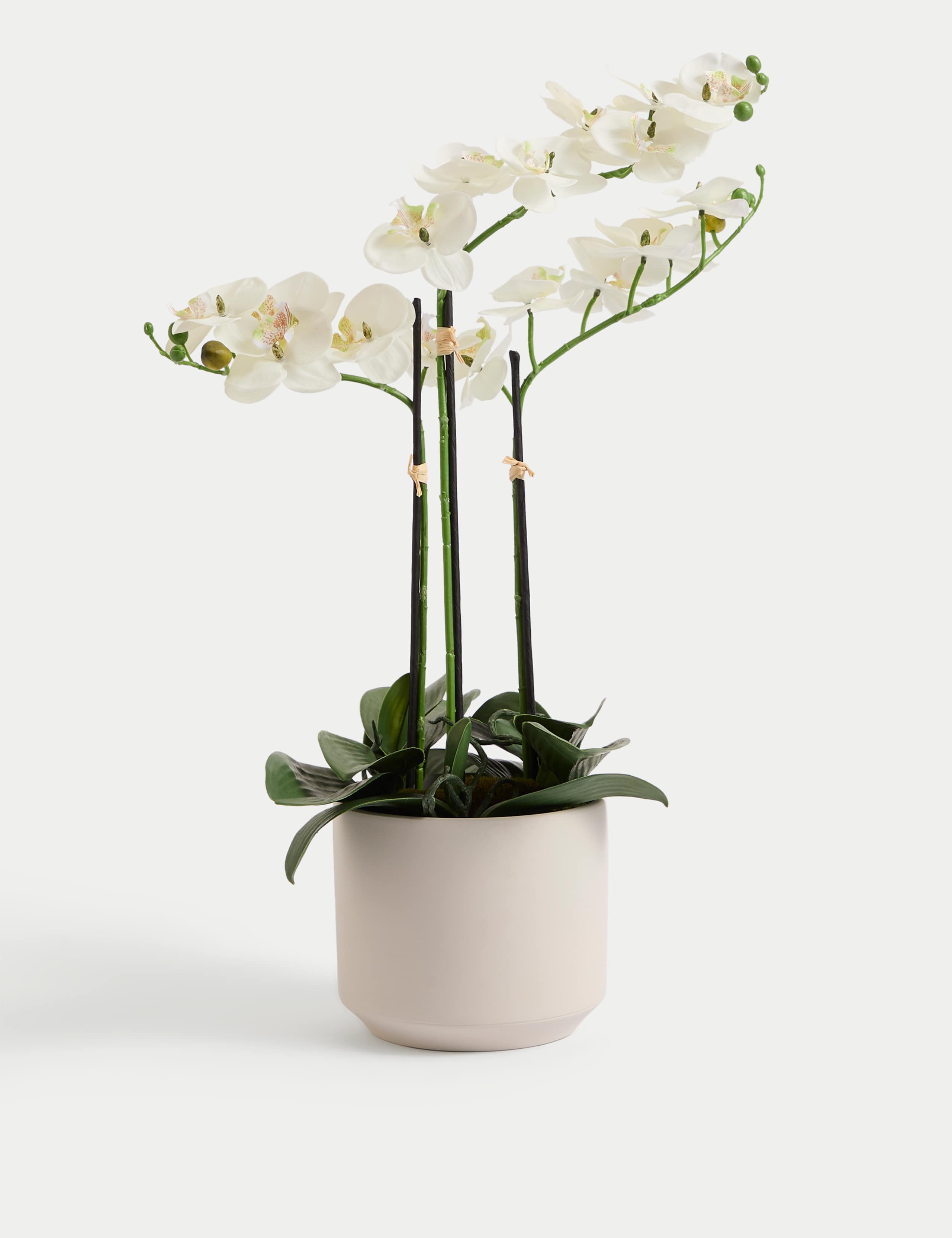 Artificial Large Orchid Plant 2 of 7