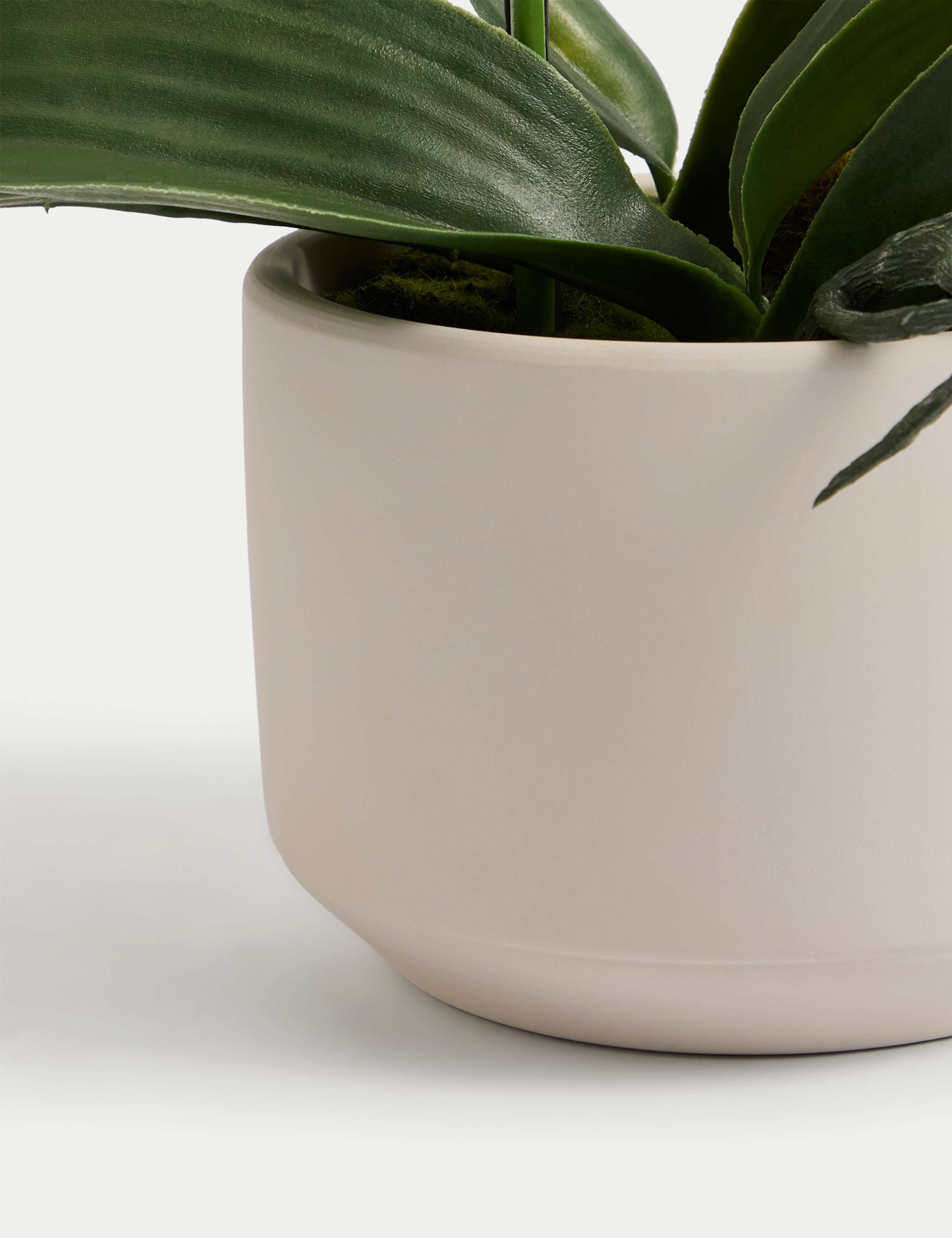 Artificial Real Touch Medium Orchid in Ceramic Pot 3 of 4