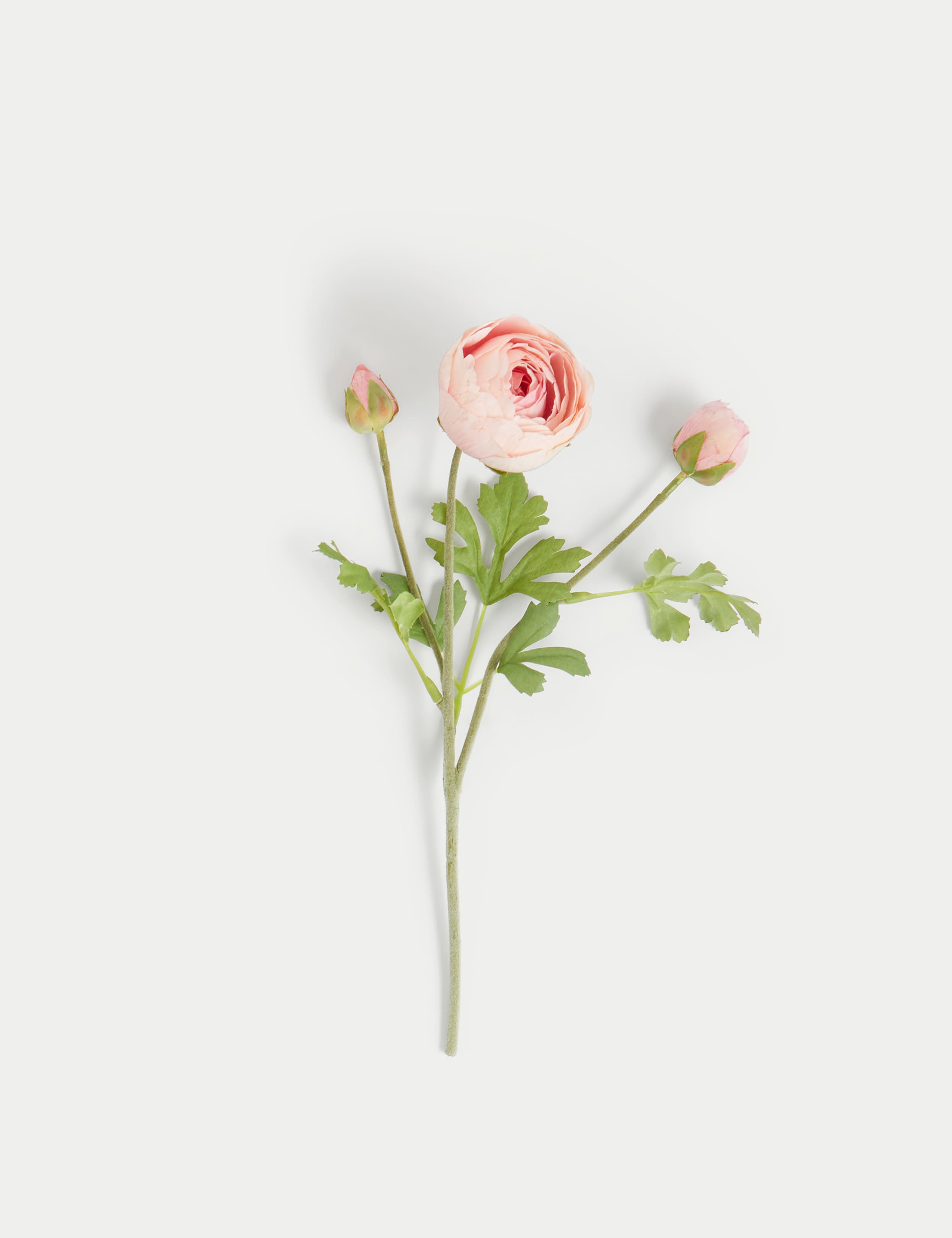 Set of 2 Artificial Real Touch Ranunculus Stems 3 of 7