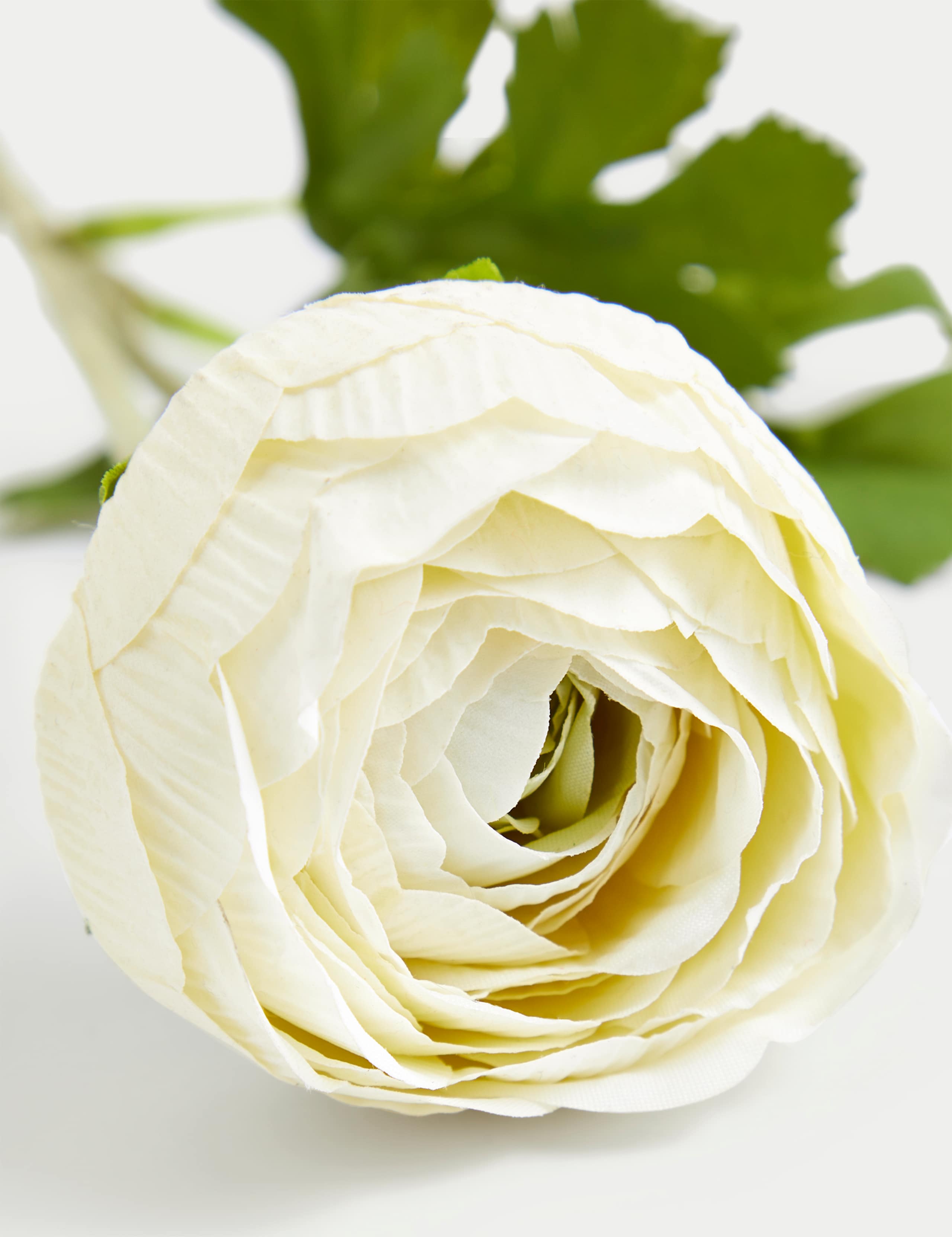 Set of 2 Artificial Real Touch Ranunculus Stems 4 of 4
