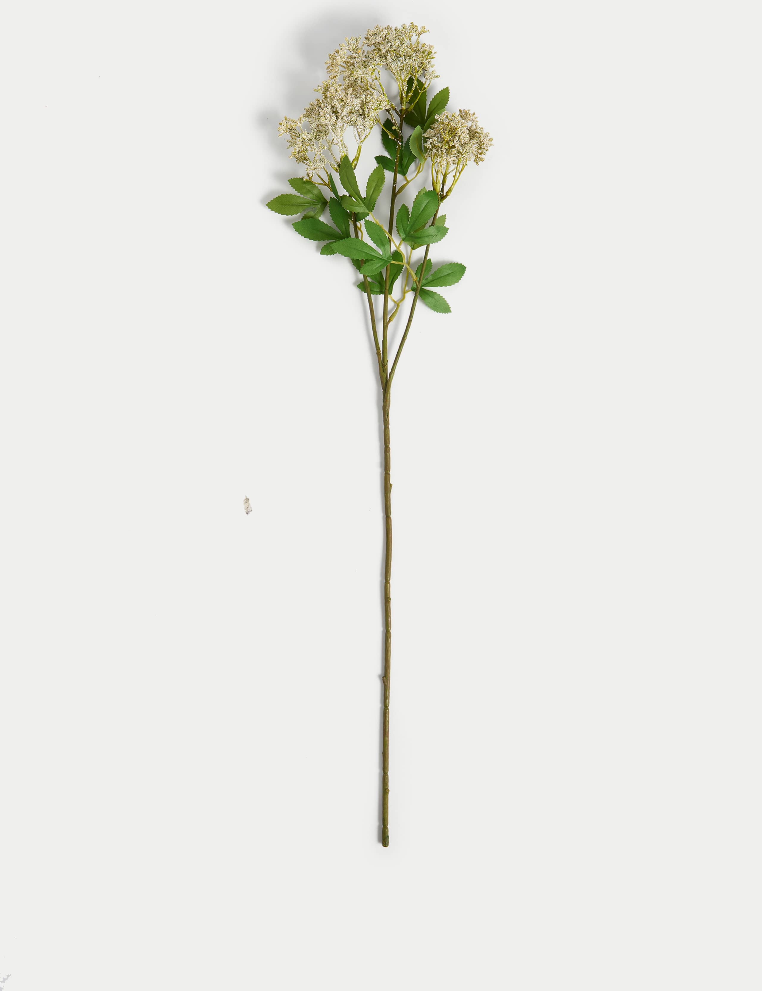 Set of 2 Artificial Cow Parsley Single Stems 3 of 4