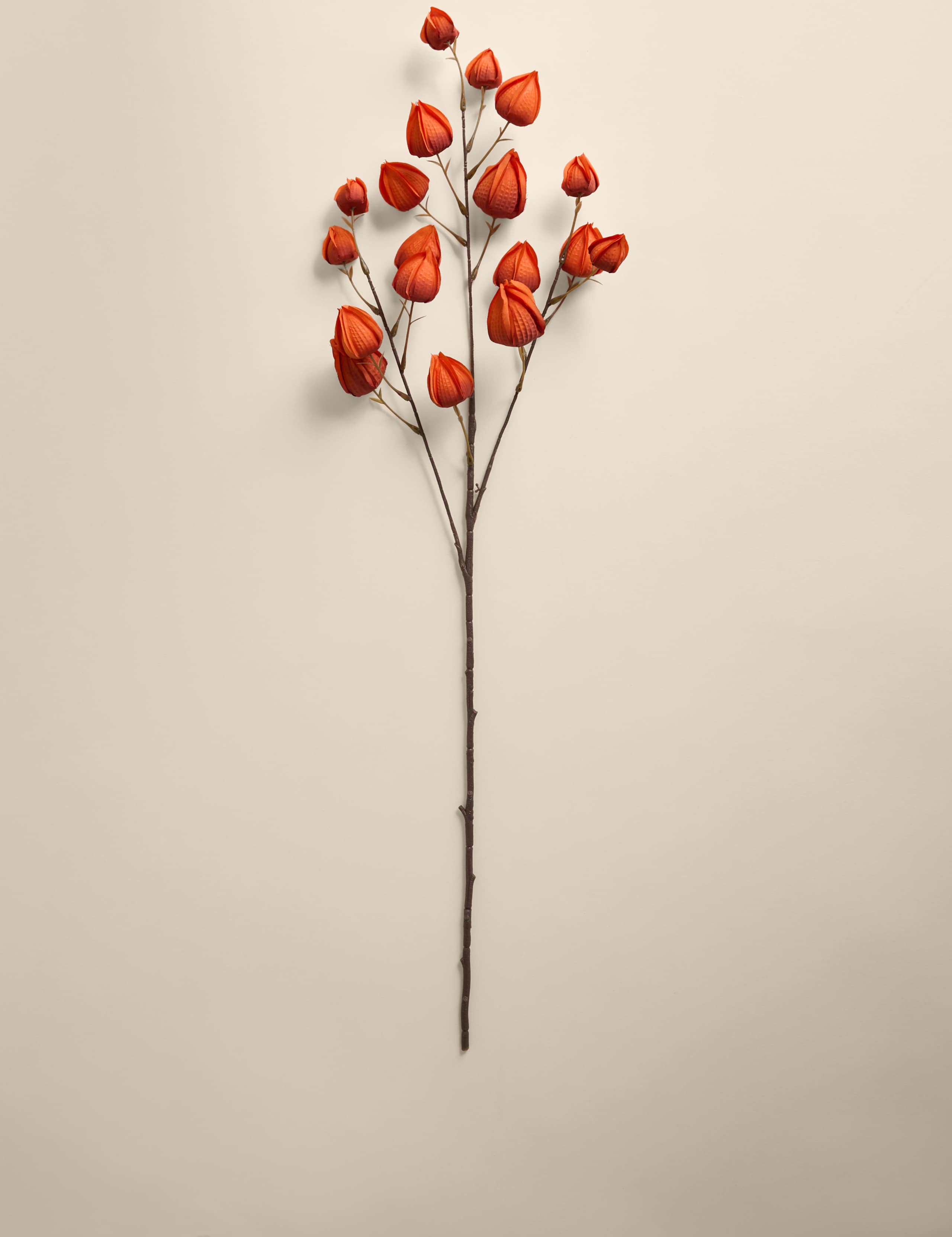2pk Artificial Chinese Lantern Single Stems 2 of 3