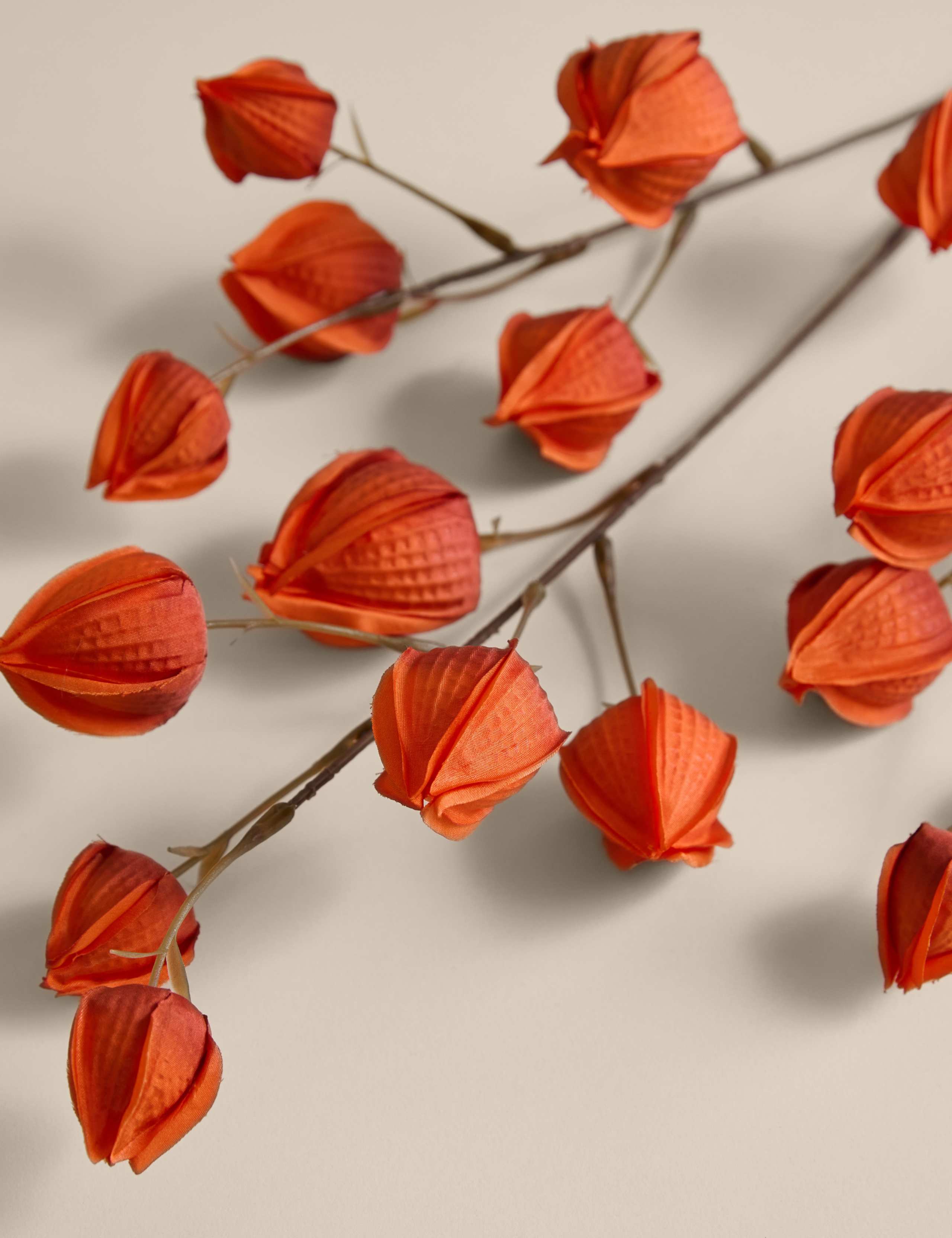 2pk Artificial Chinese Lantern Single Stems 3 of 3