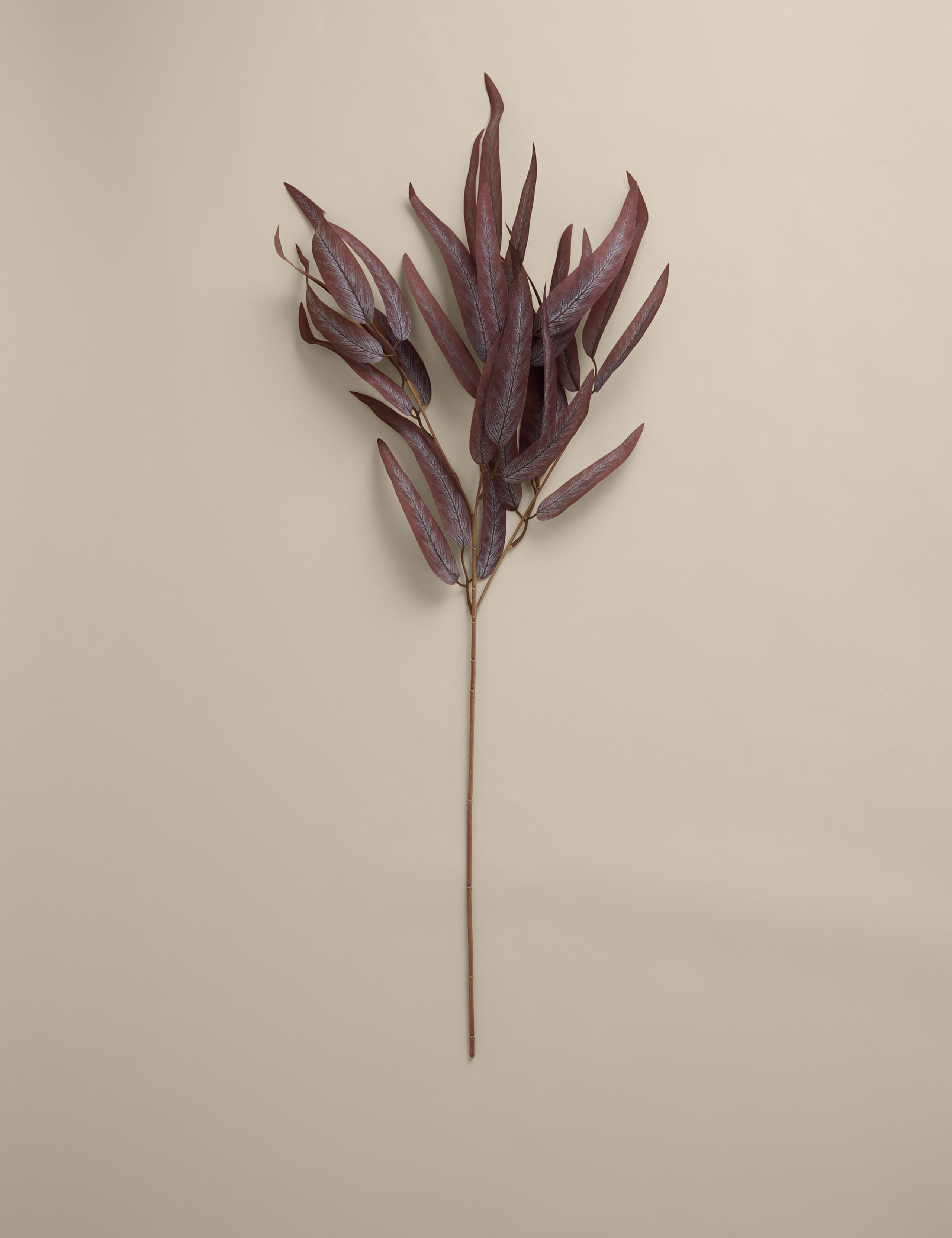 Set of 3 Artificial Eucalyptus Single Stems 2 of 3