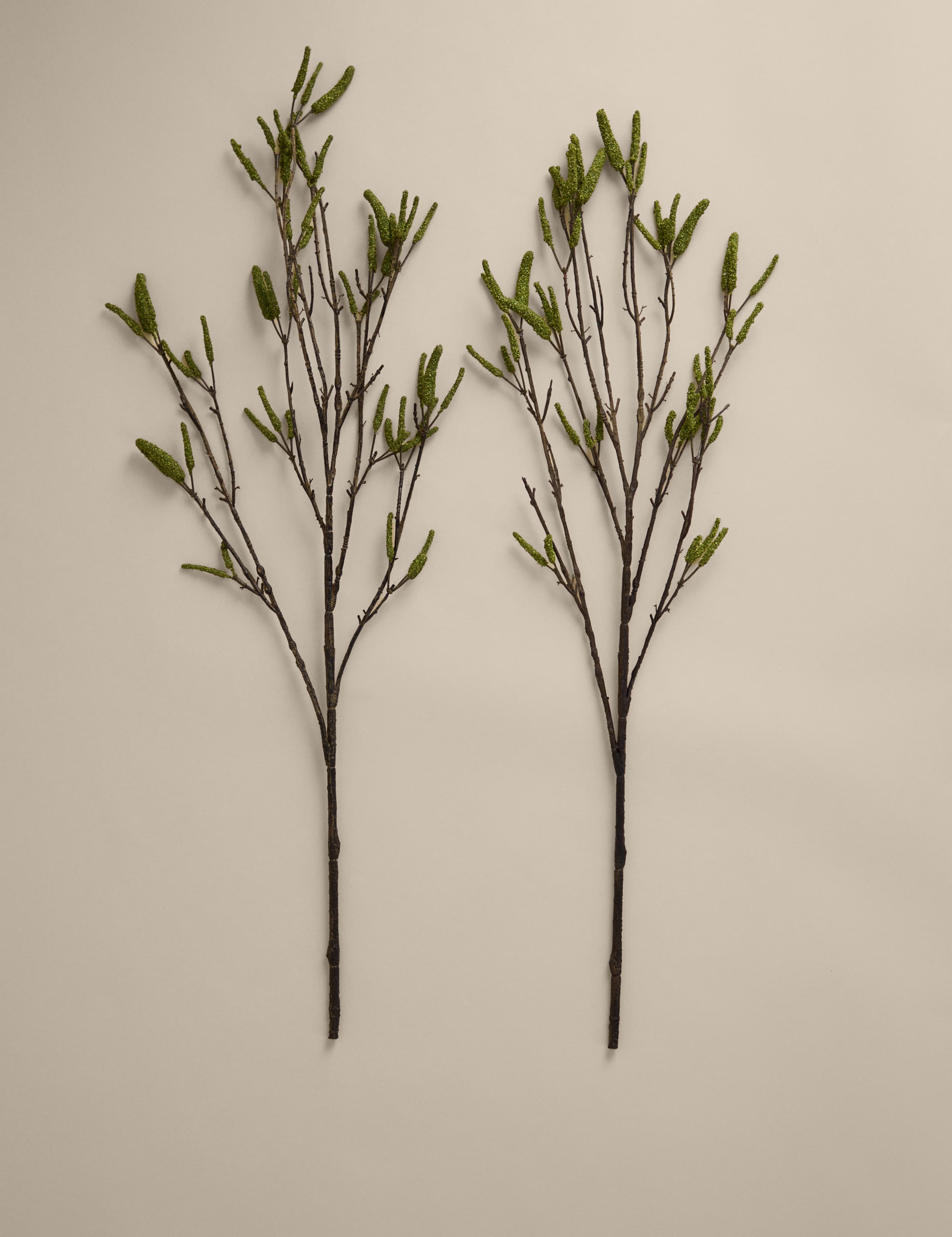 Set of 2 Artificial Catkin Single Stems 1 of 3