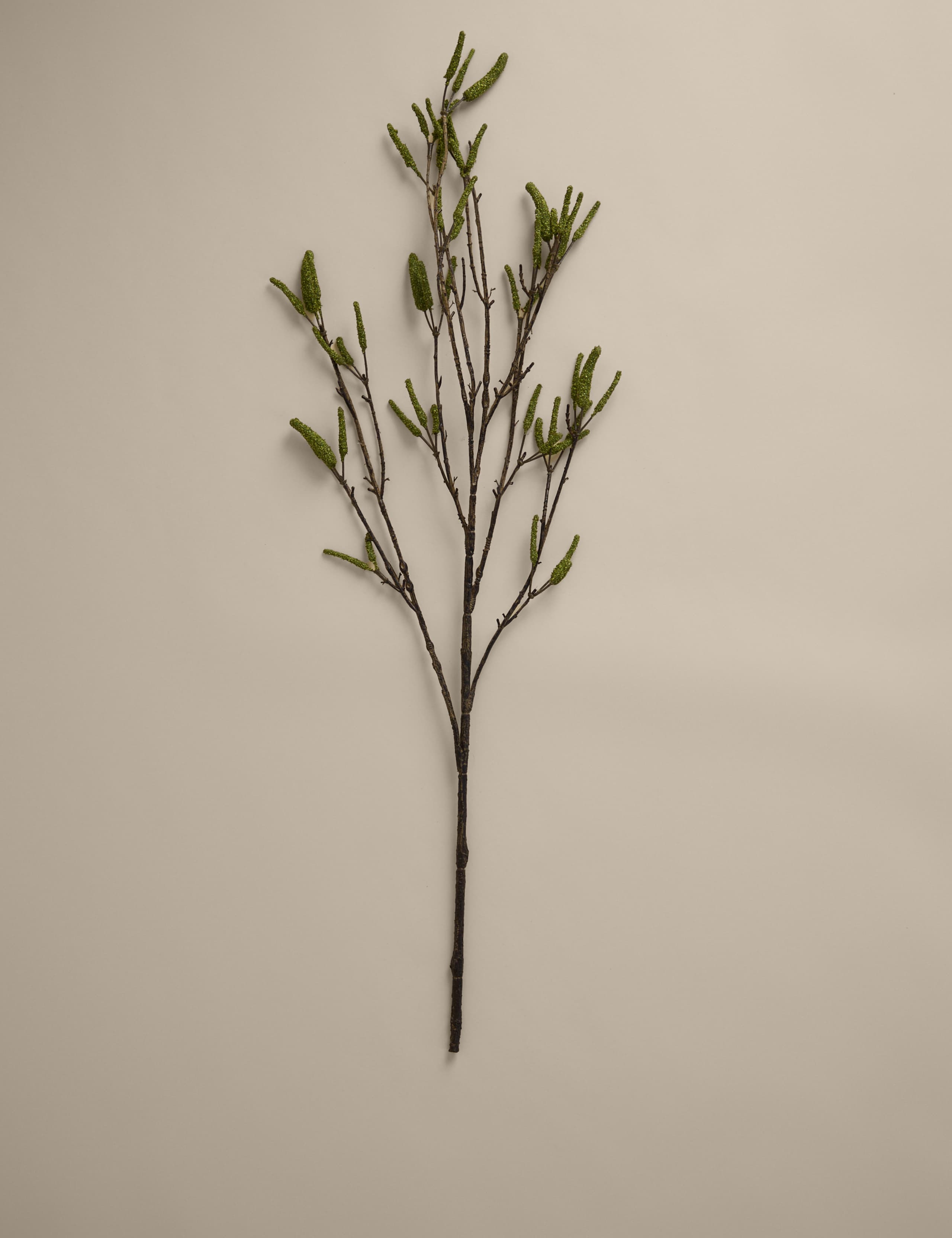 Set of 2 Artificial Catkin Single Stems 2 of 3