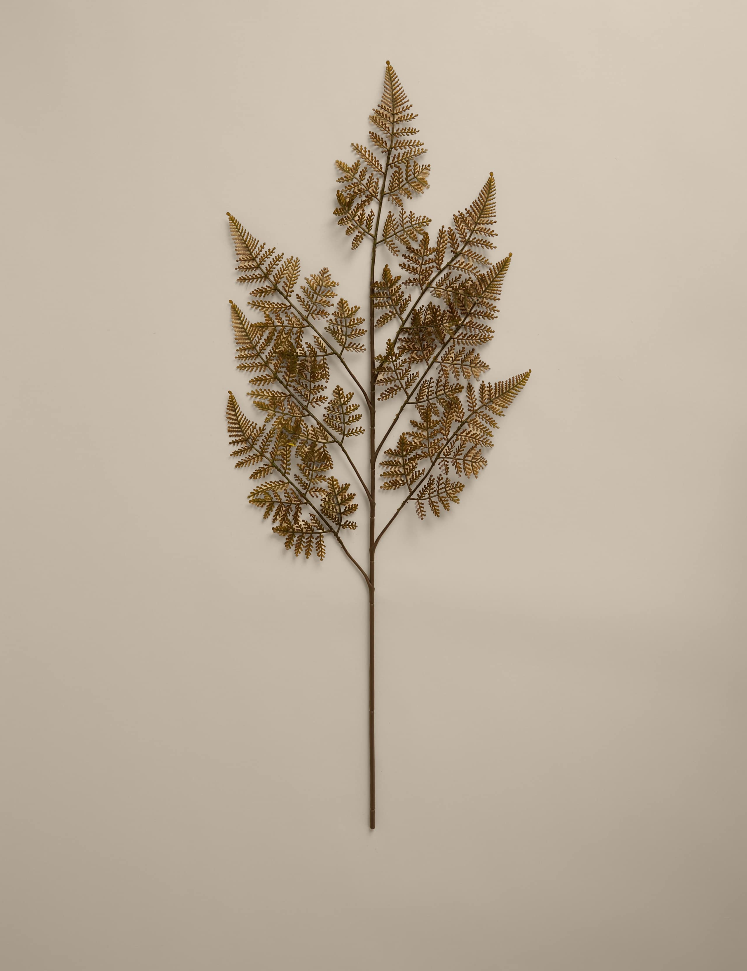Set of 3 Fern Single Stems 2 of 3
