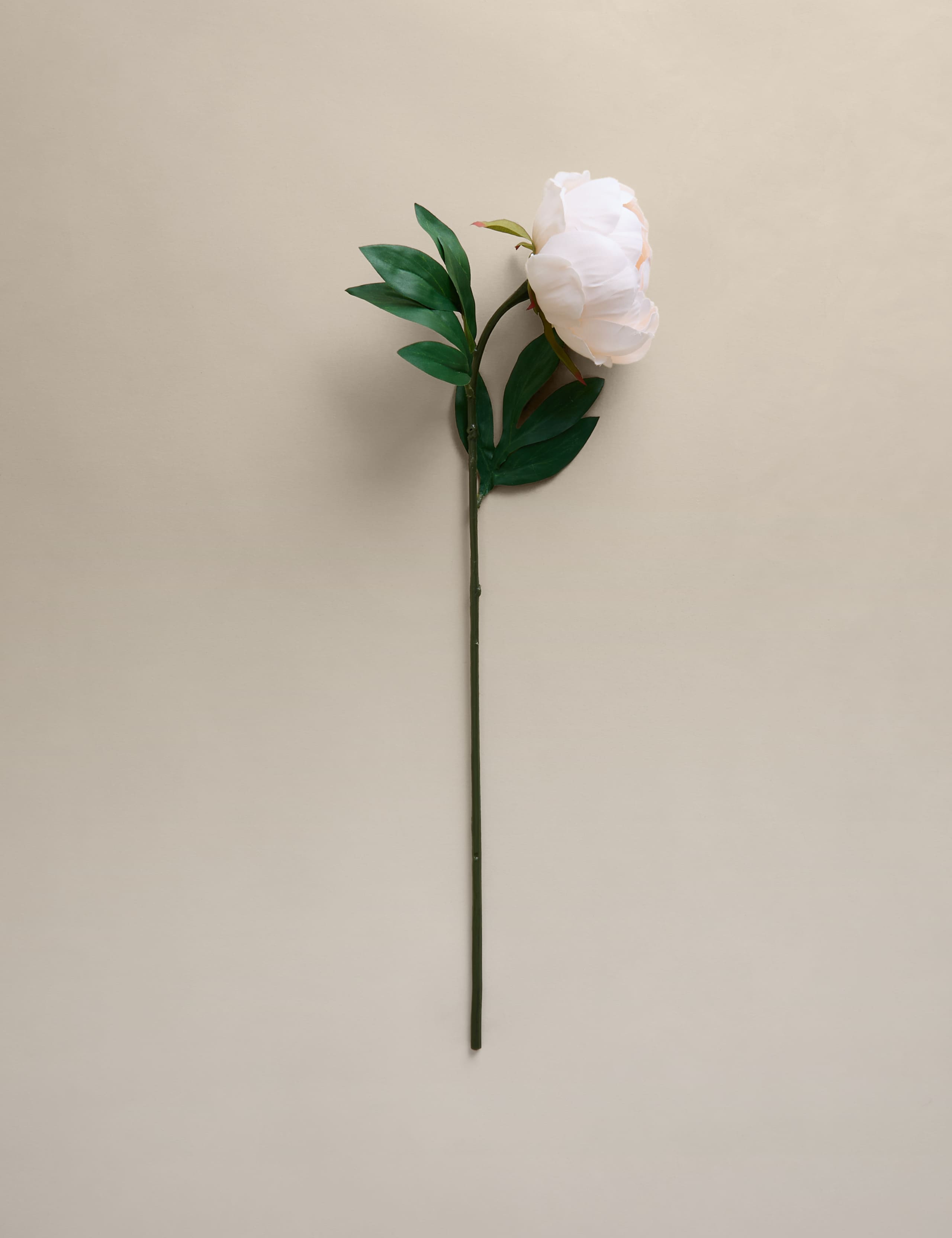 Set of 3 Artificial Closed Peony Single Stems 2 of 3