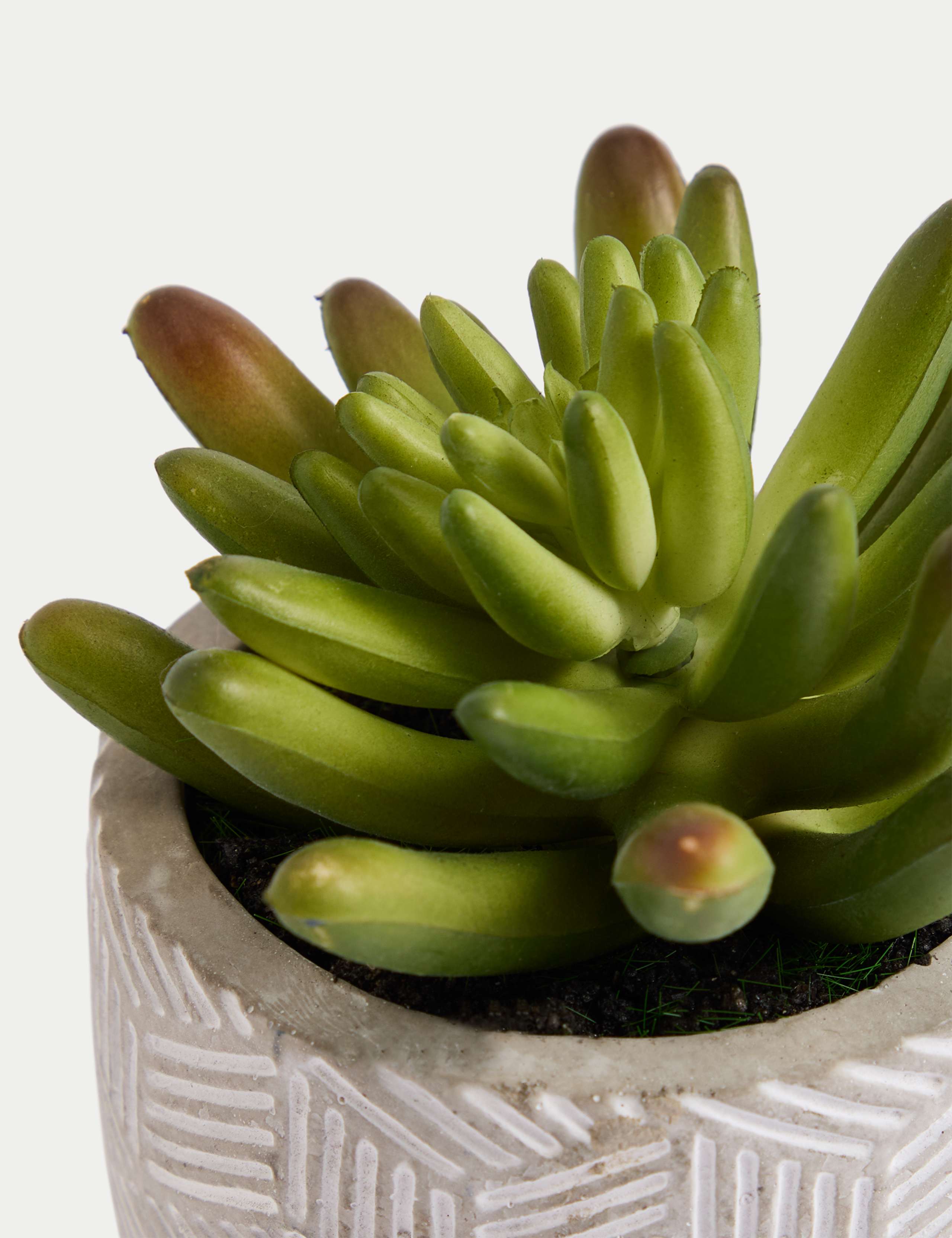 Artificial Mini Succulent in Concrete Pot 4 of 5