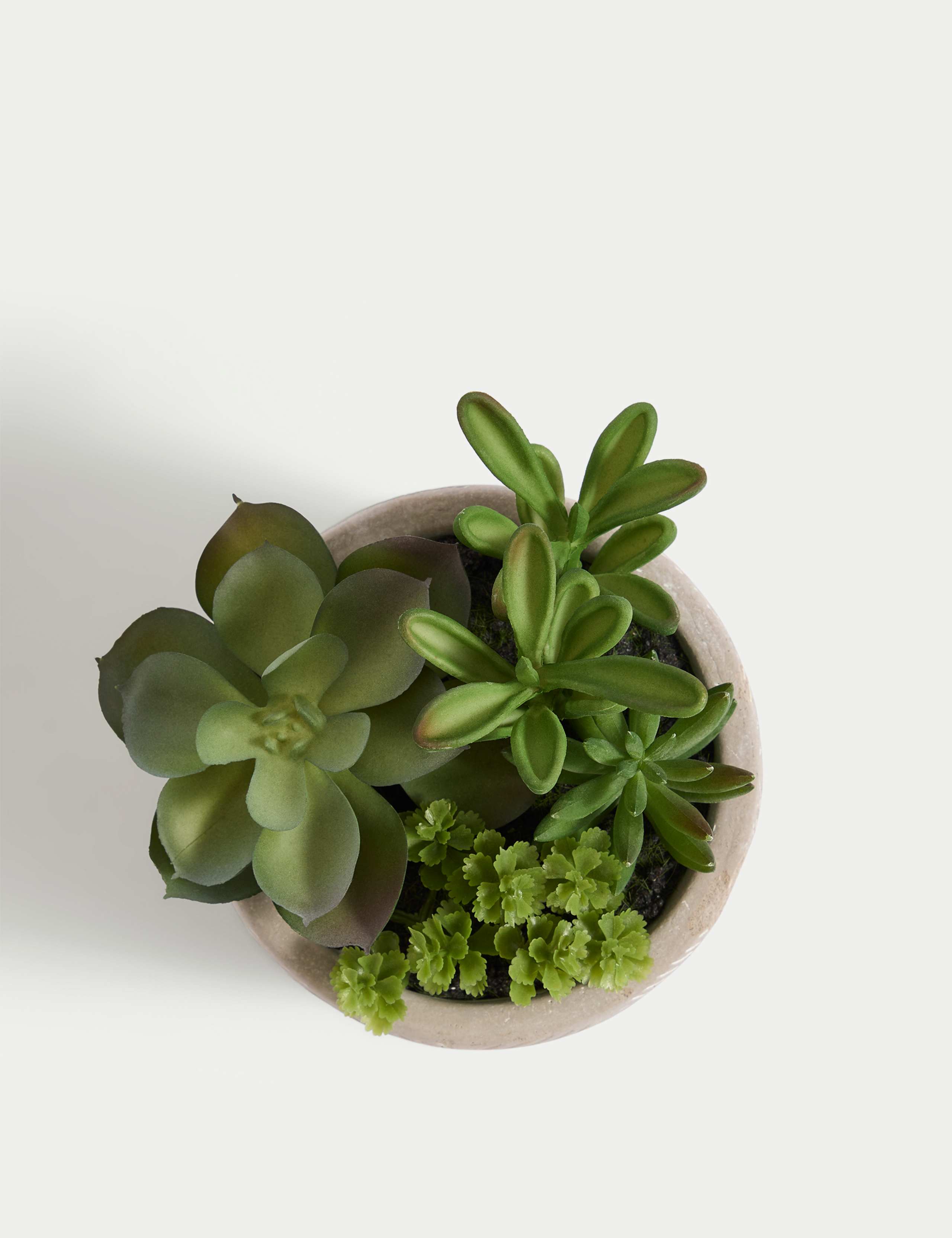 Artificial Succulent Garden 4 of 6