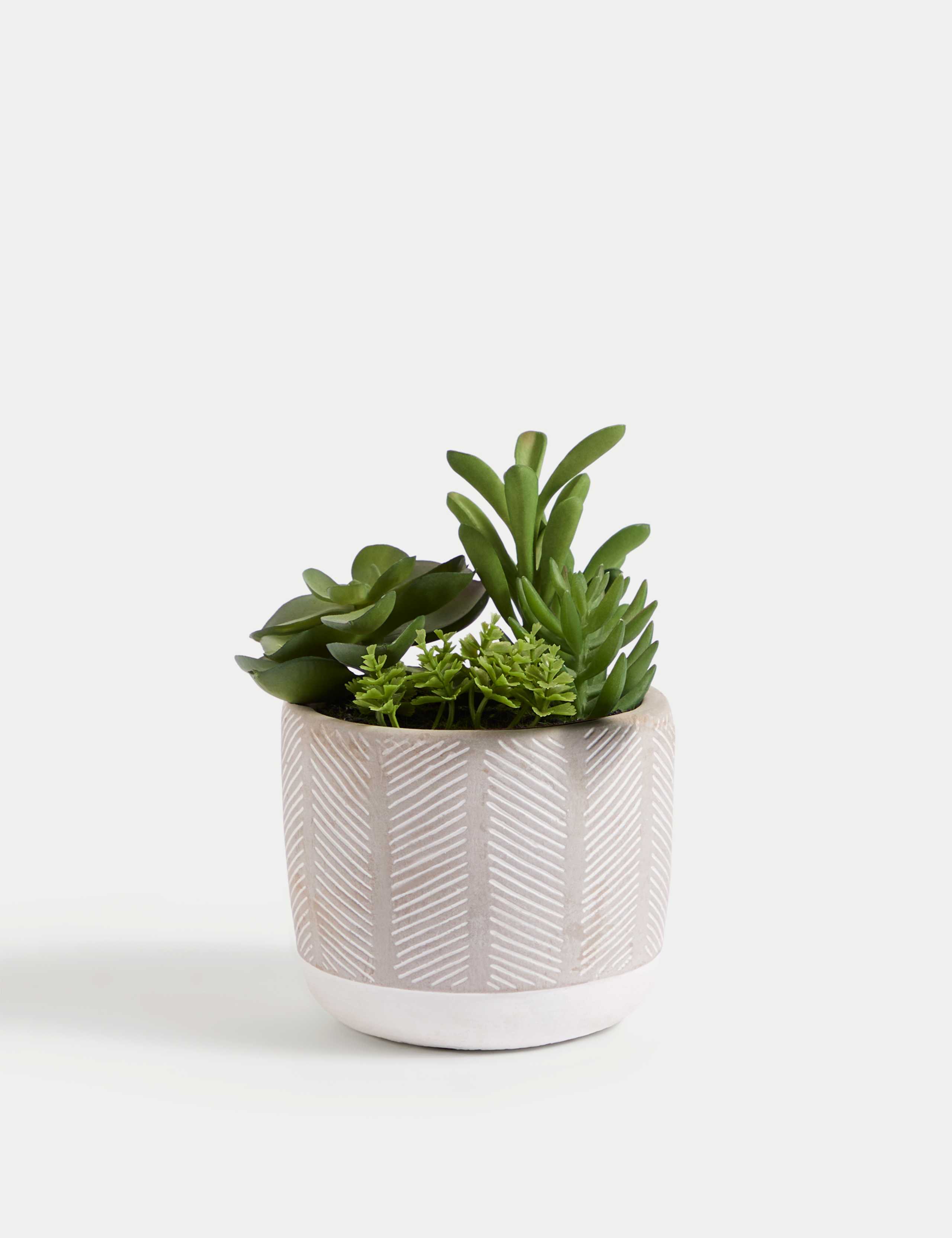 Artificial Succulent Garden 2 of 6