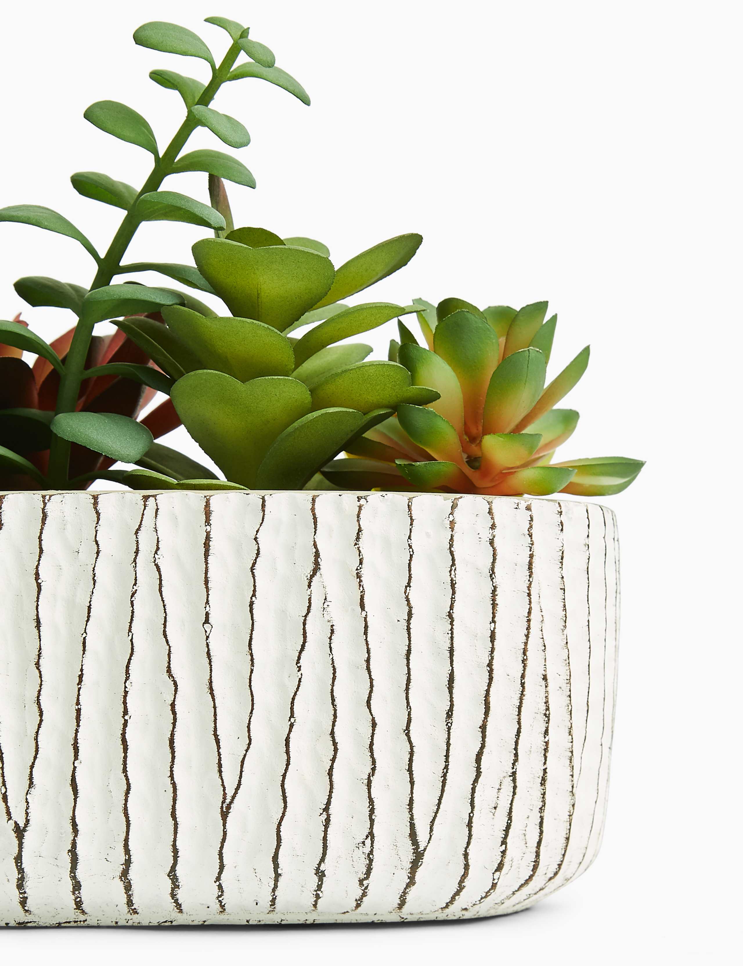 Artificial Succulent Garden 3 of 3