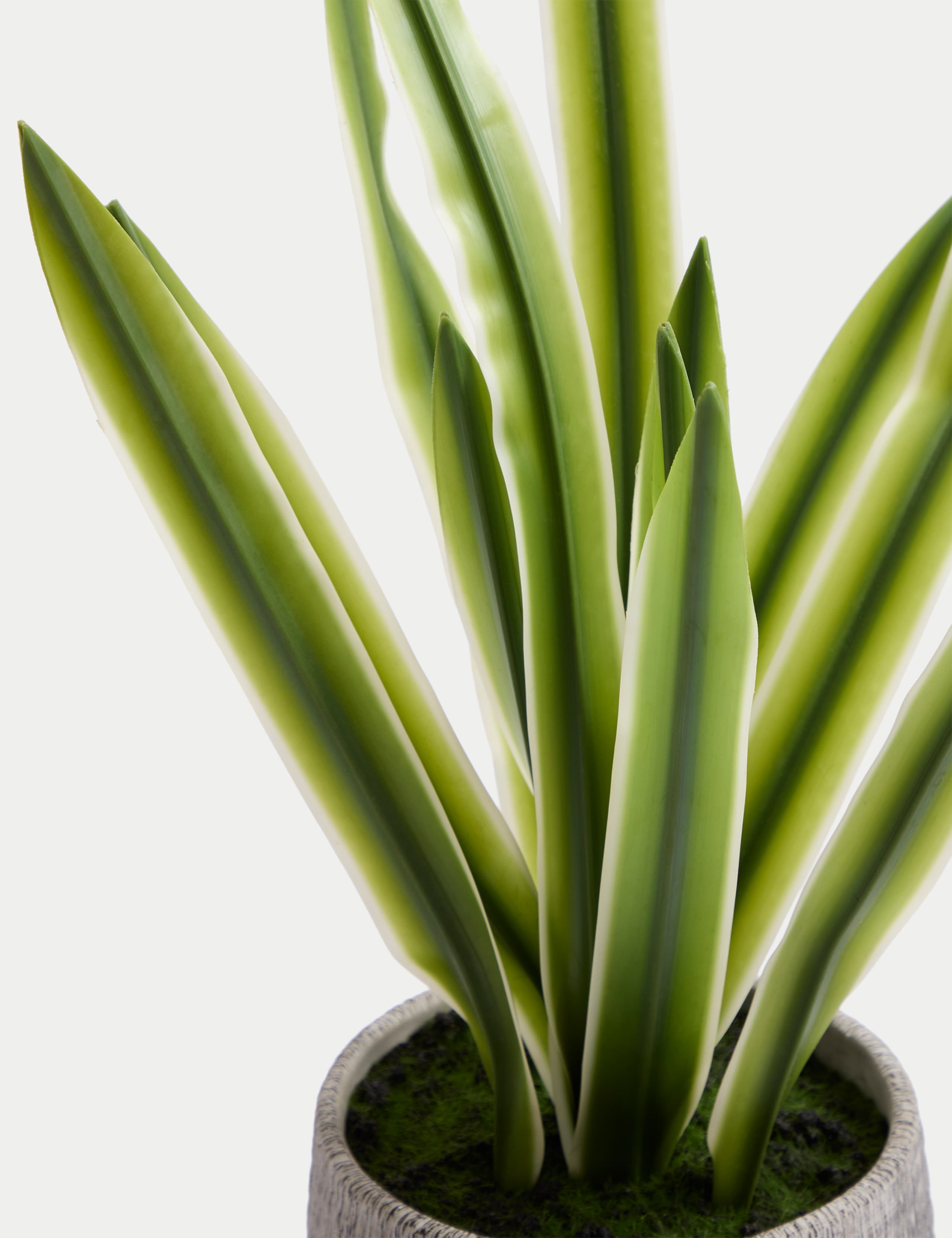 Artificial Natural Lily in Textured Pot 4 of 6