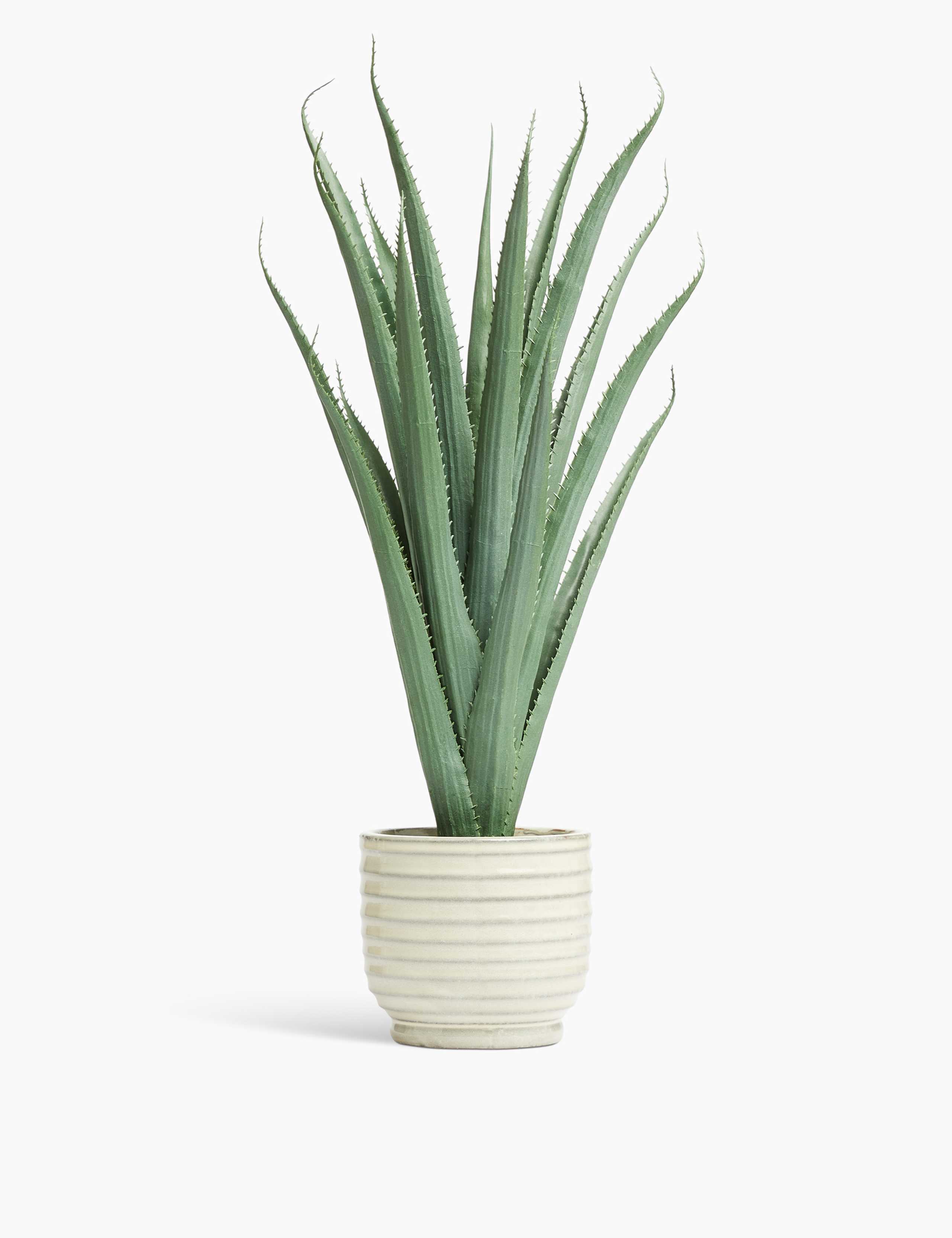 Artificial Large Aloe in Glazed Pot 1 of 3