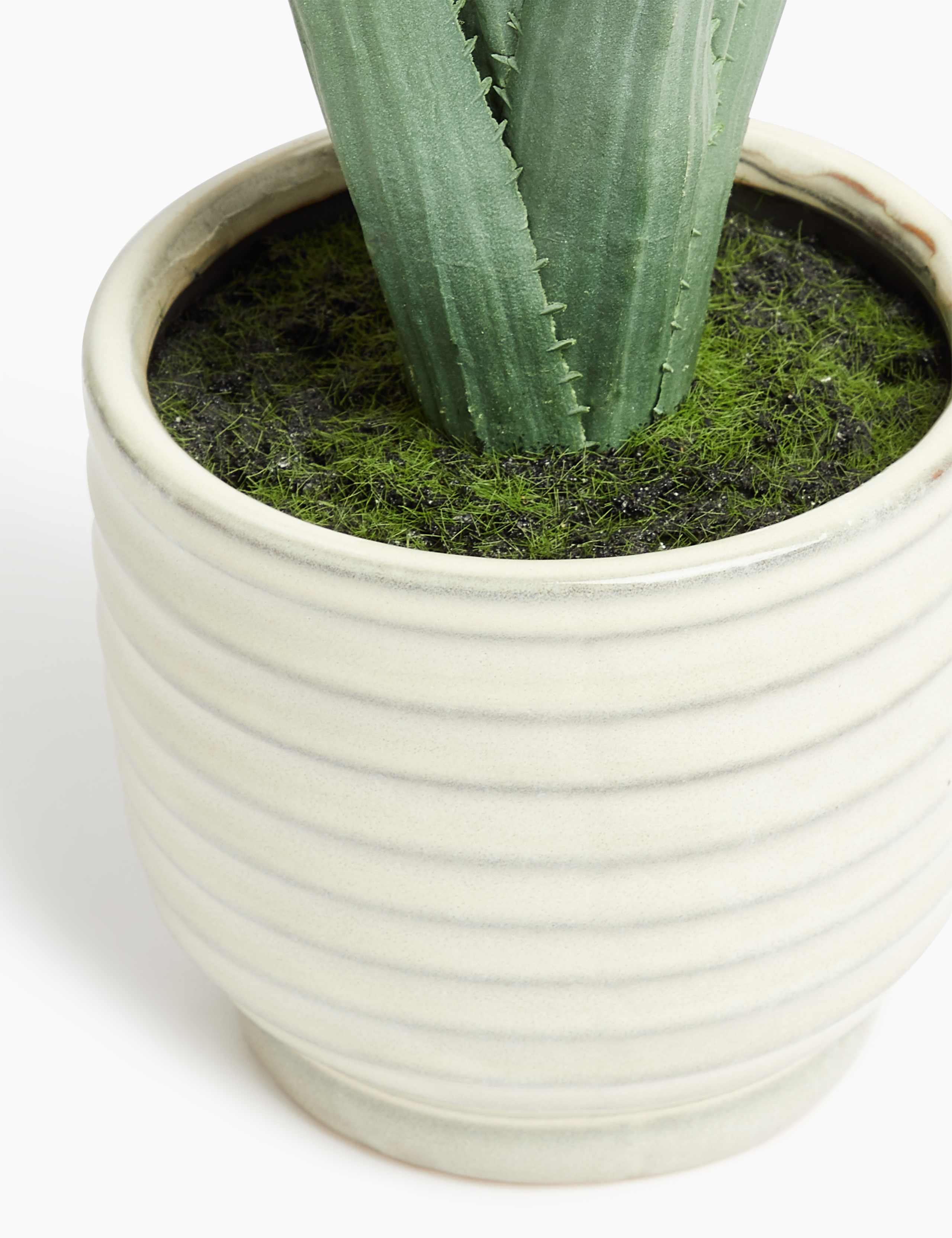Artificial Large Aloe in Glazed Pot 2 of 3