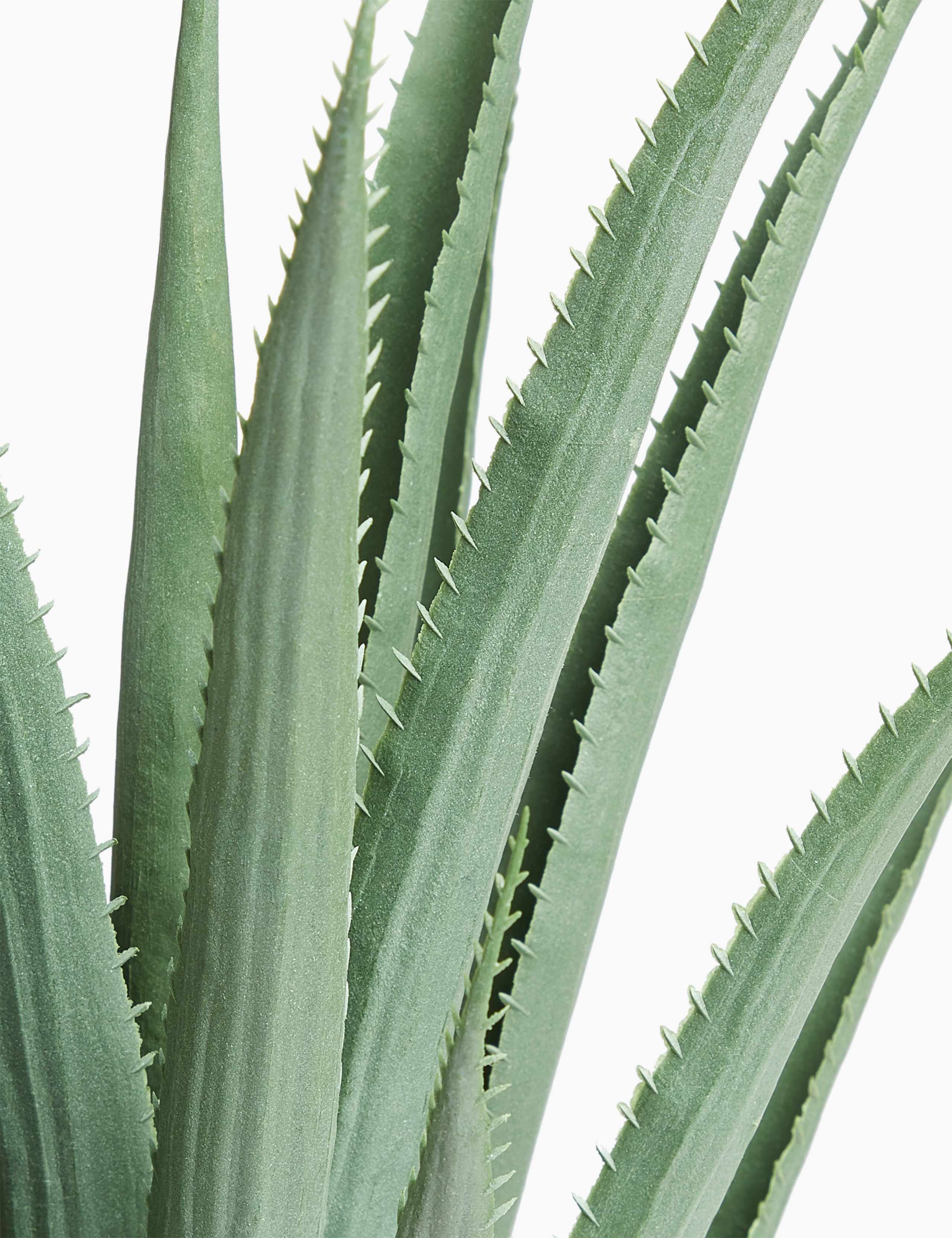 Artificial Large Aloe in Glazed Pot 3 of 3