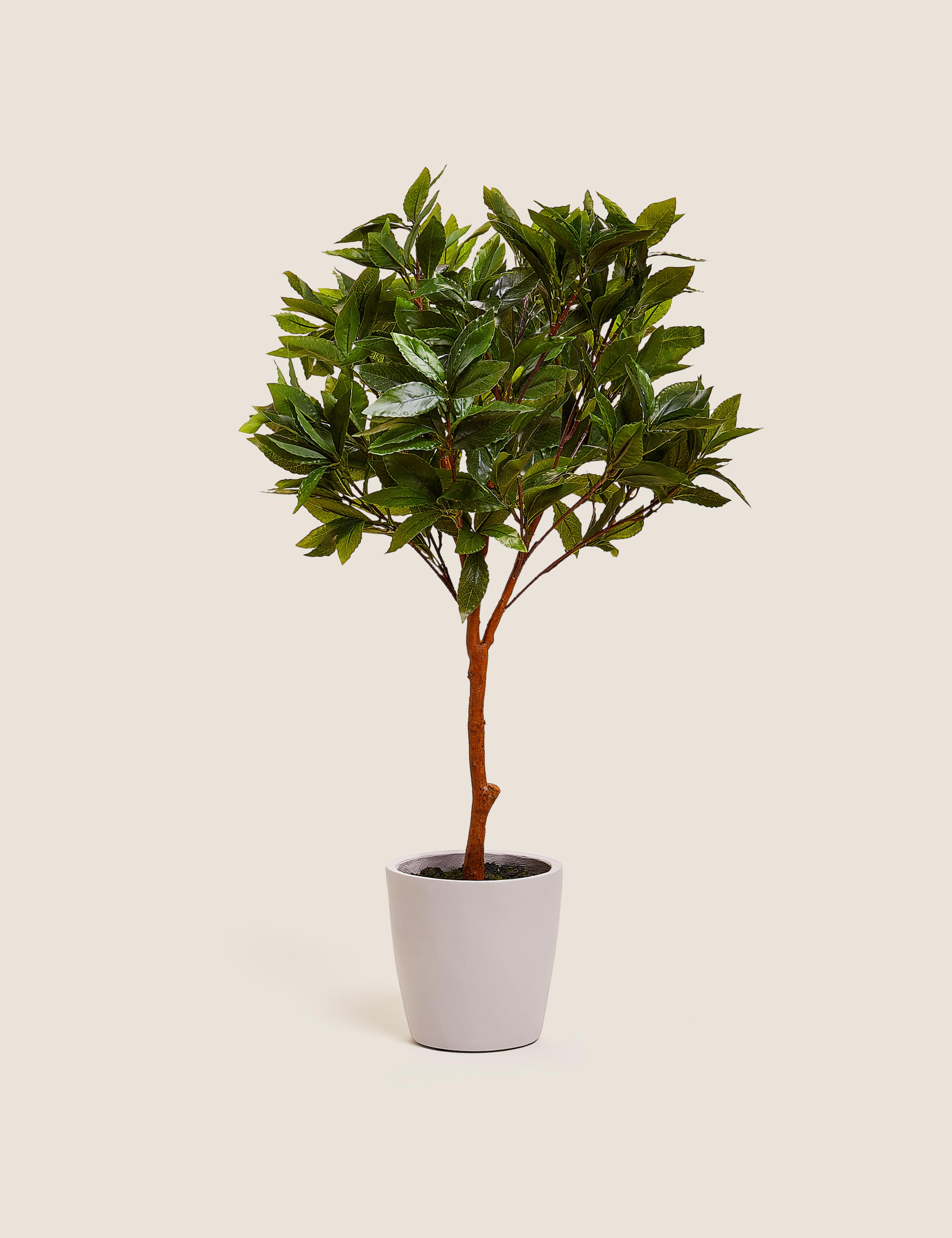 Artificial Floor Standing Bay Tree 1 of 5