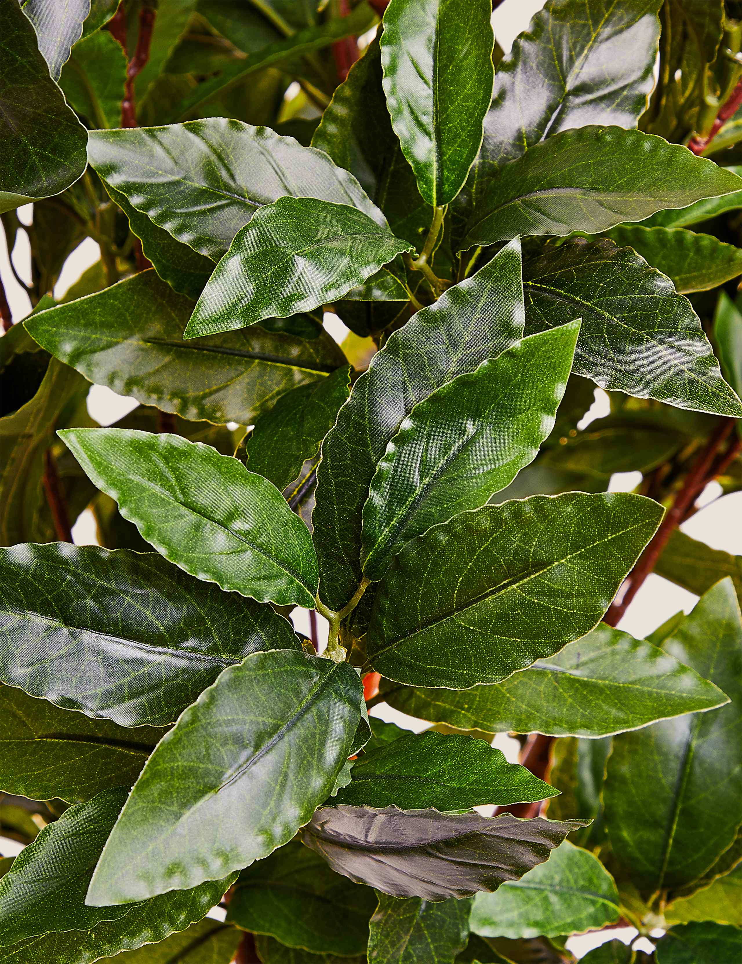 Artificial Floor Standing Bay Tree 3 of 5