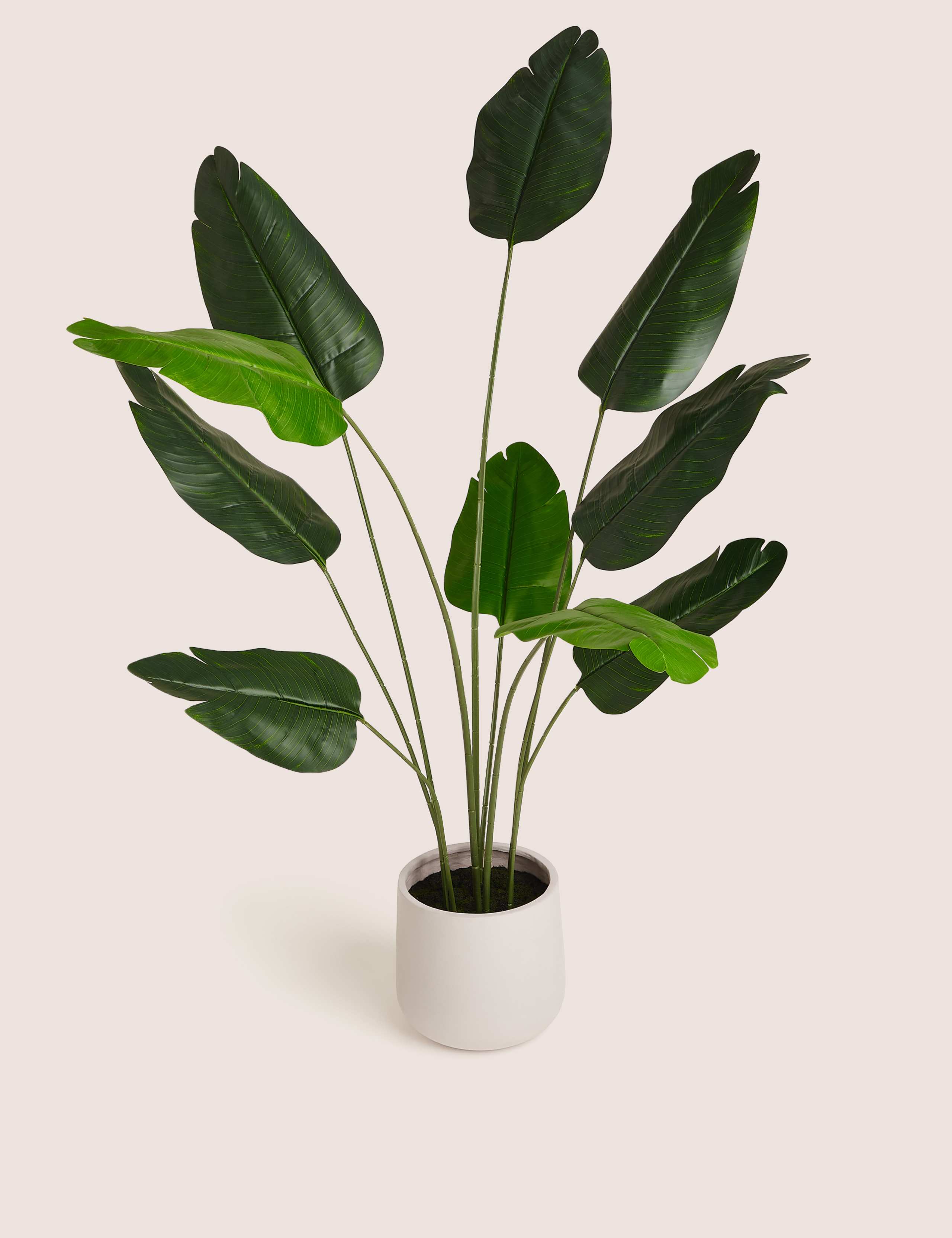 Artificial Floor Standing Banana Leaf Plant 1 of 5