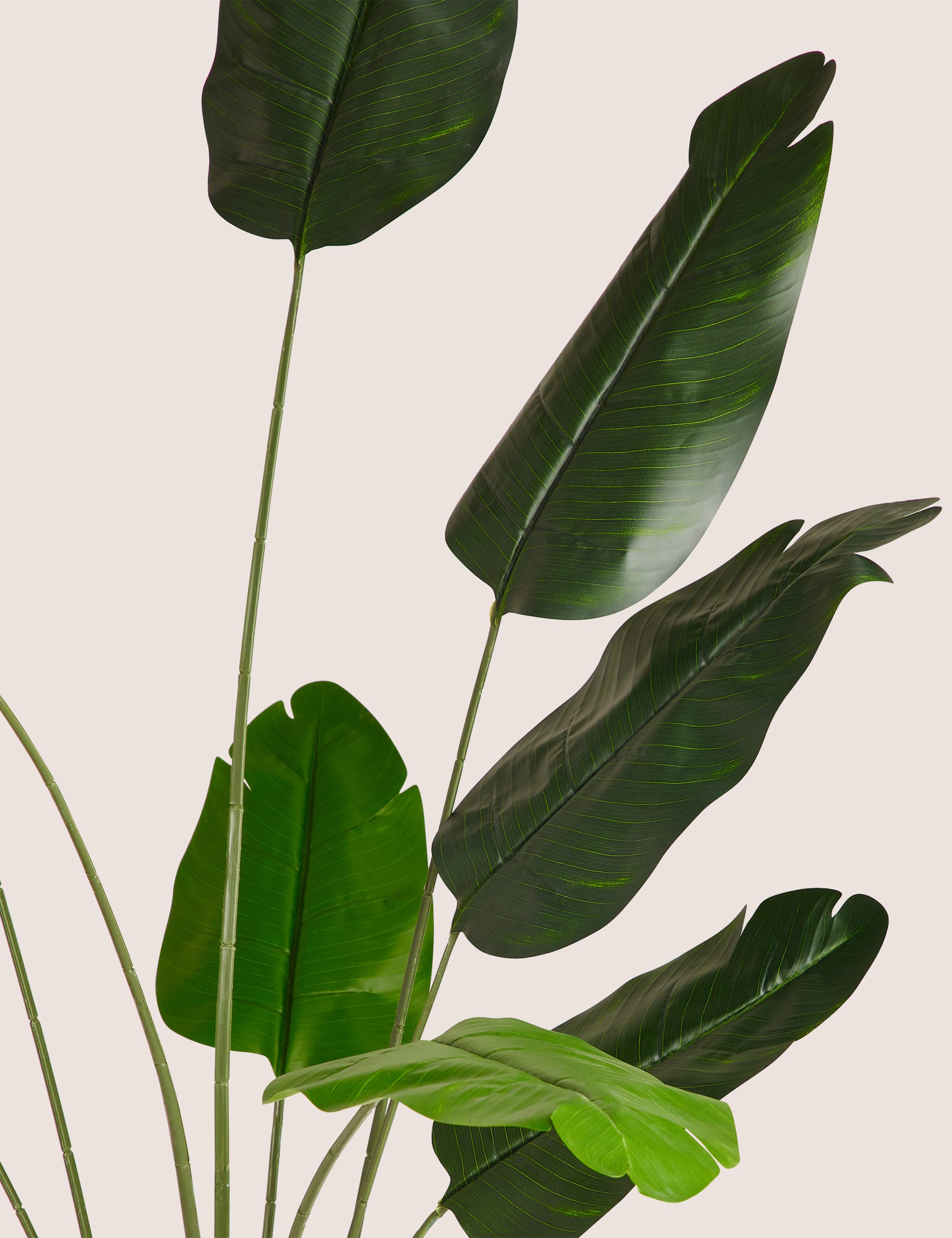 Artificial Floor Standing Banana Leaf Plant 2 of 5
