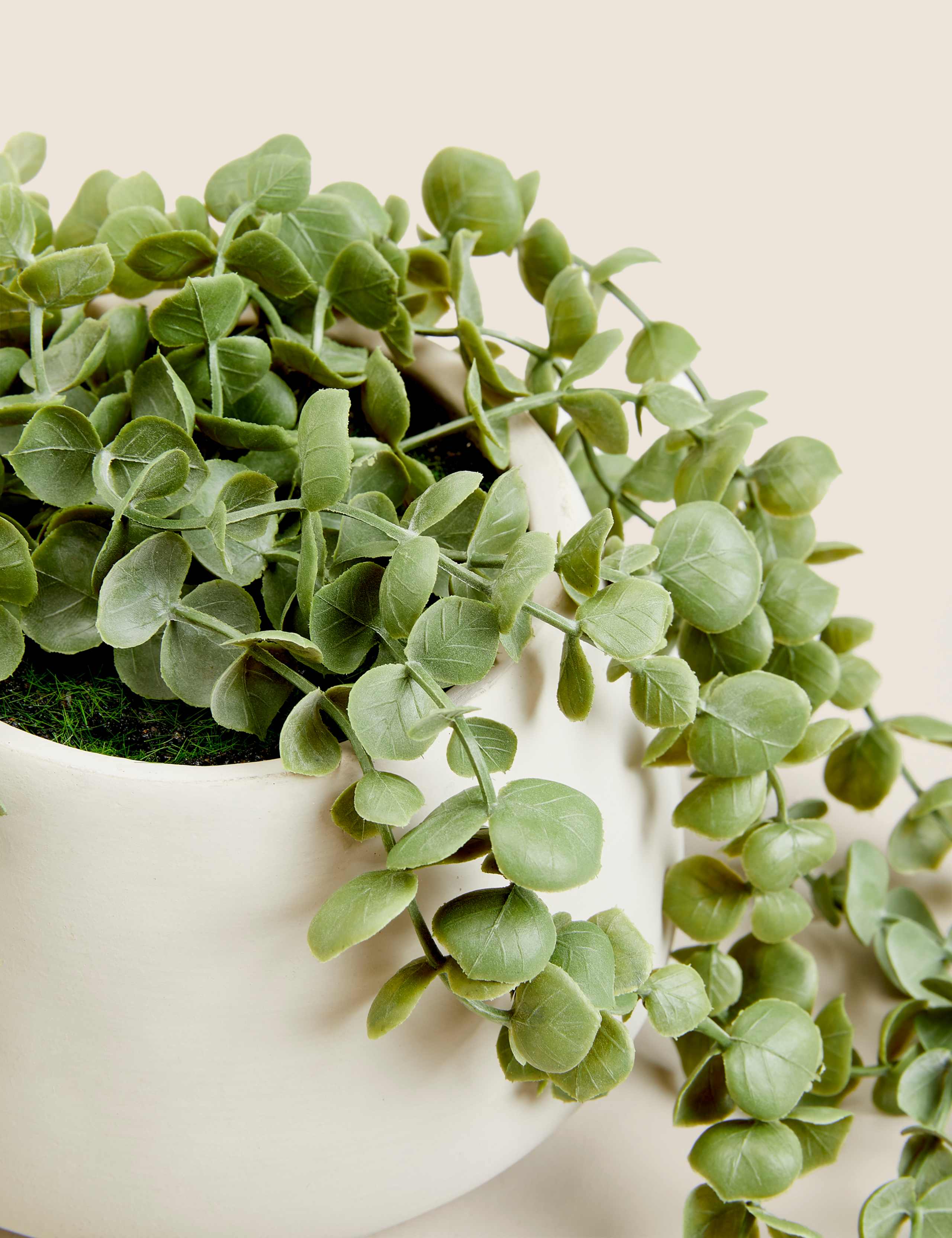 Artificial Trailing String of Hearts Plant 3 of 3