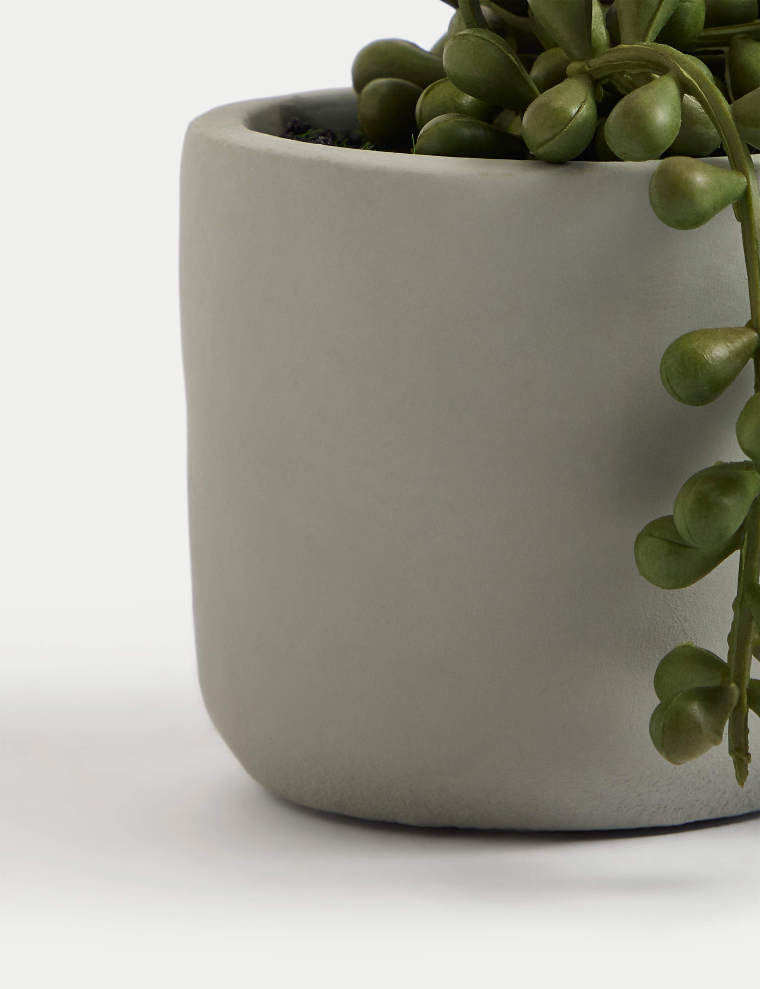 Artificial Mini String of Pearls in Pot 3 of 4