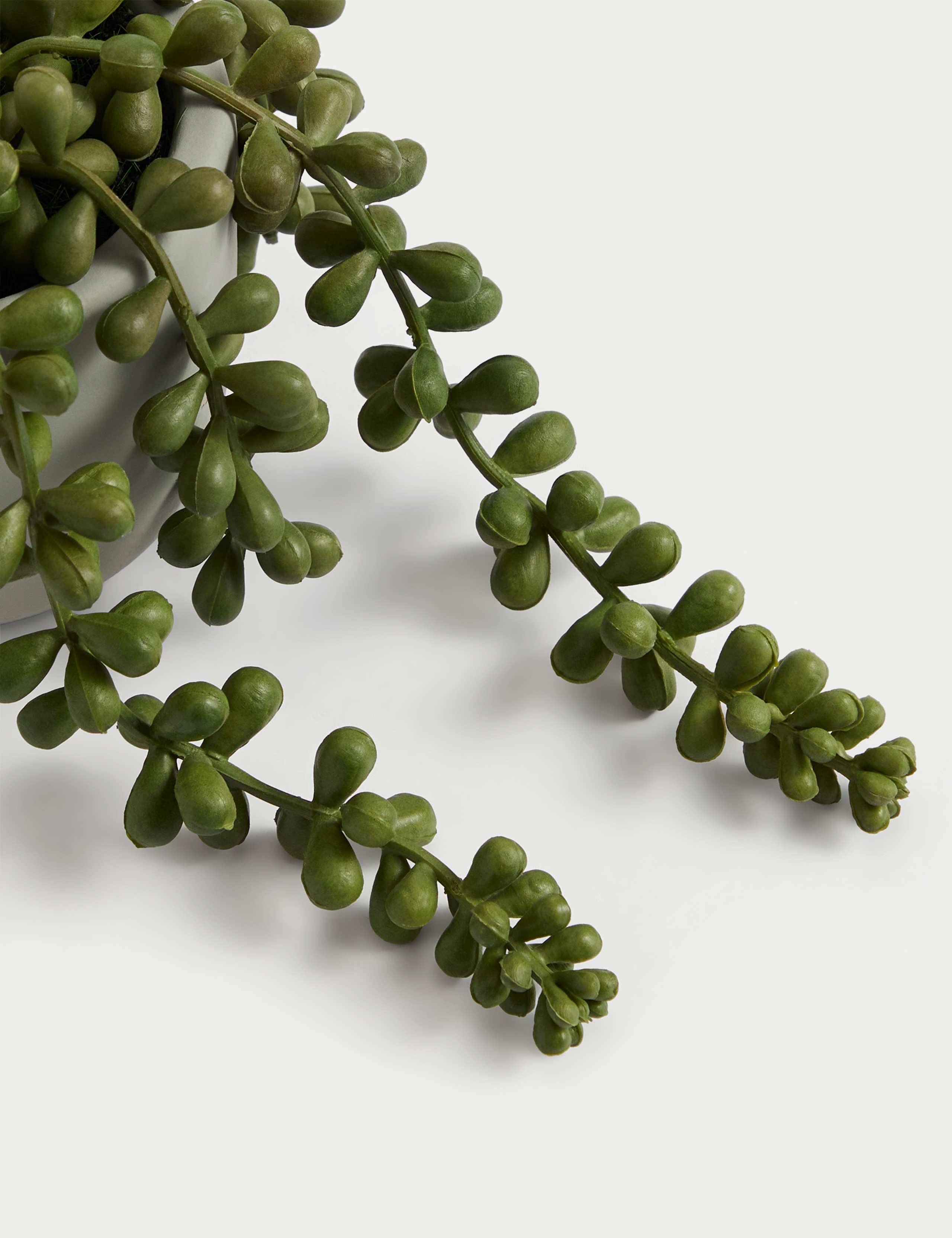 Artificial Mini String of Pearls in Pot 4 of 4