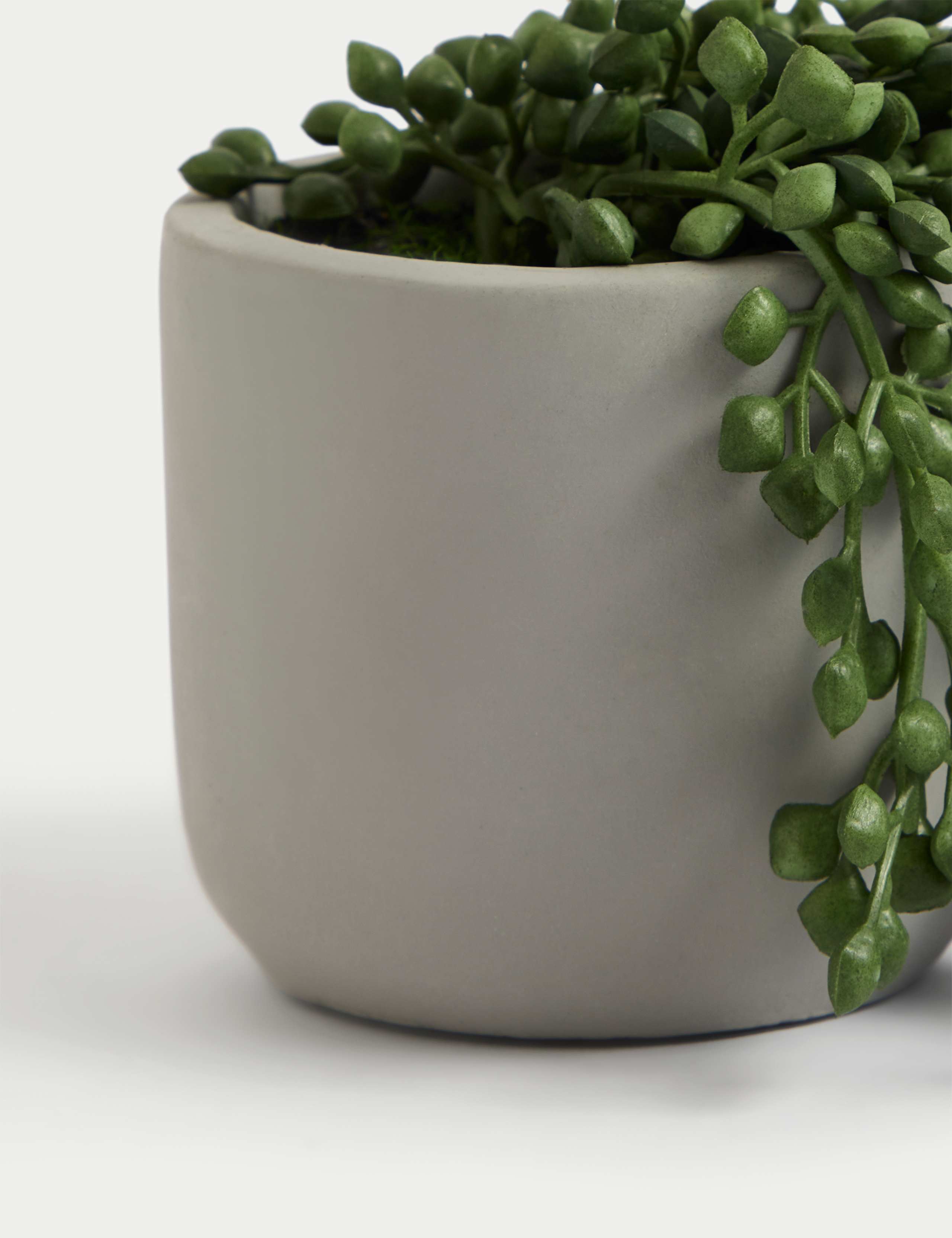 Artificial Mini Trailing Plant in Pot 3 of 4