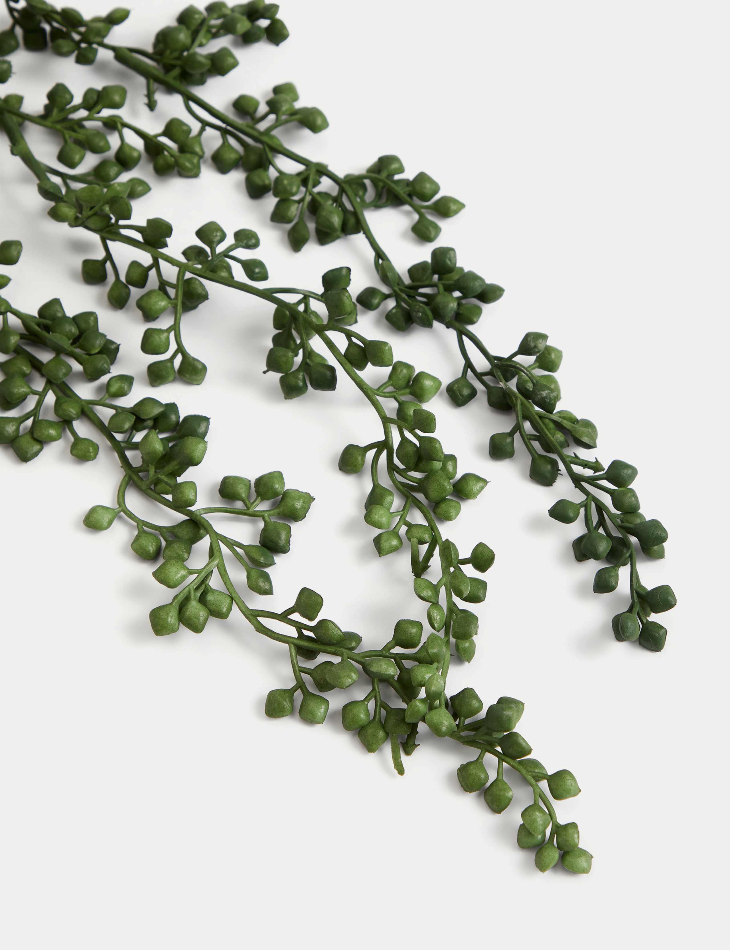 Artificial Mini Trailing Plant in Pot 4 of 4