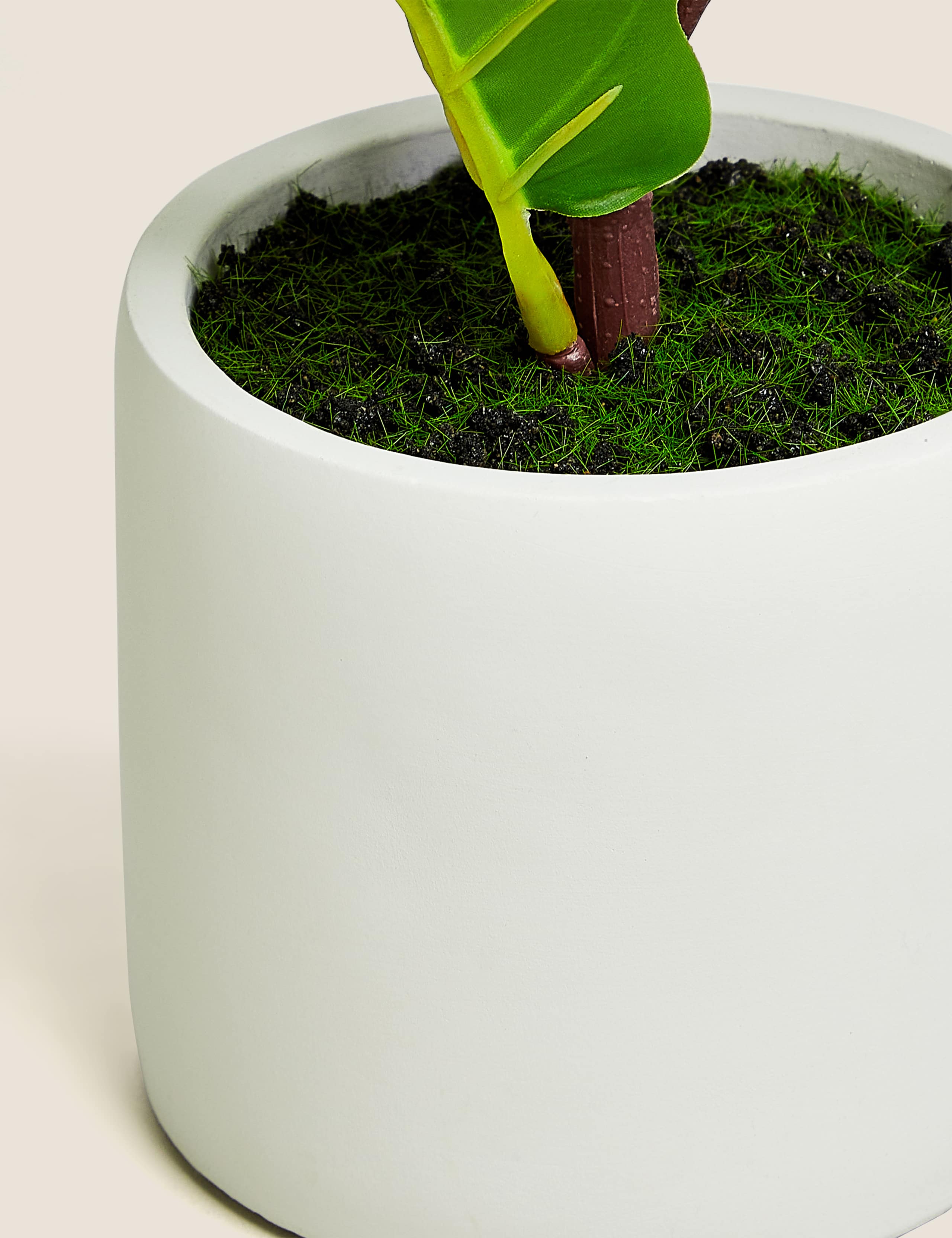 Artificial Small Fig Leaf Tree in Pot 3 of 4
