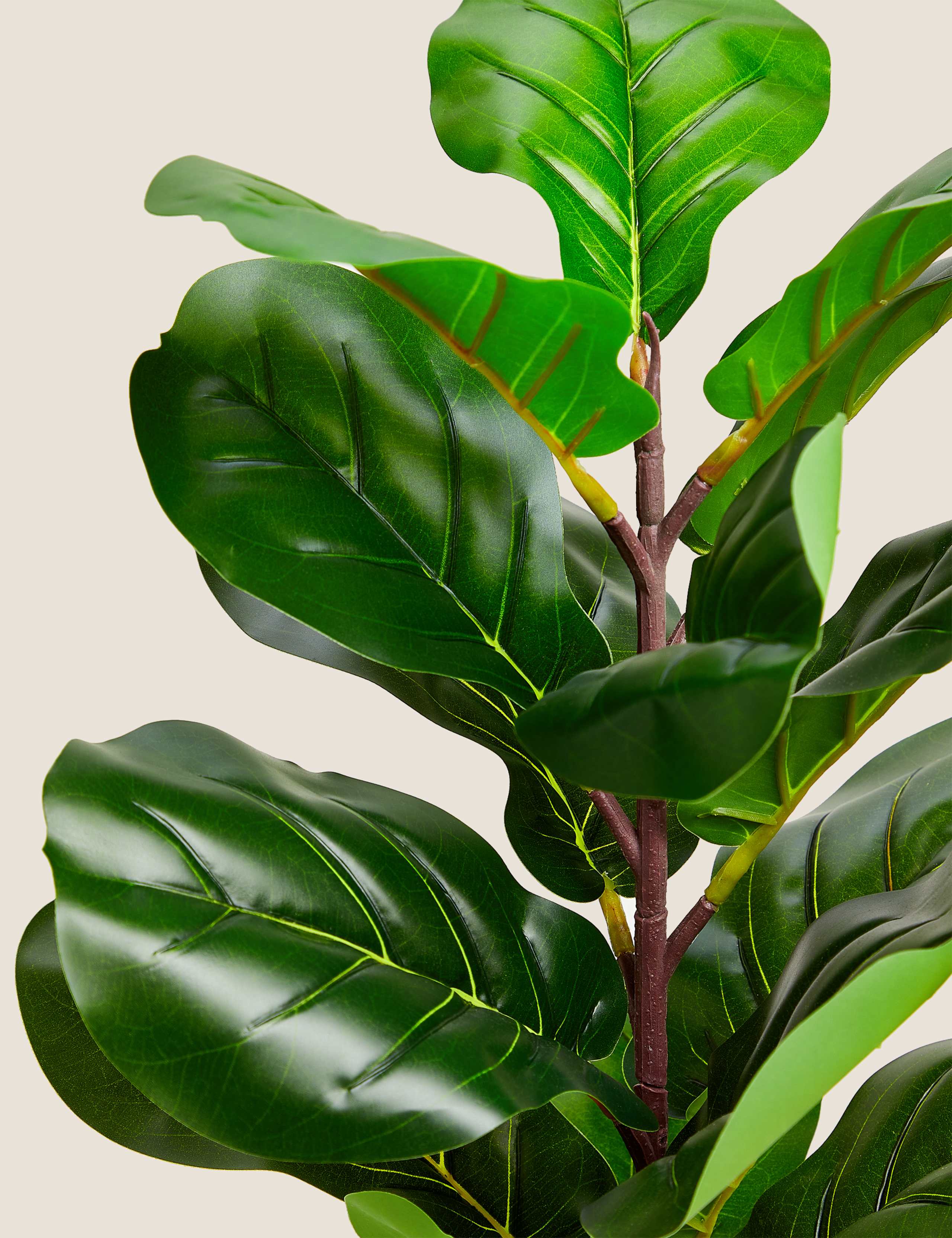 Artificial Small Fig Leaf Tree in Pot 4 of 4