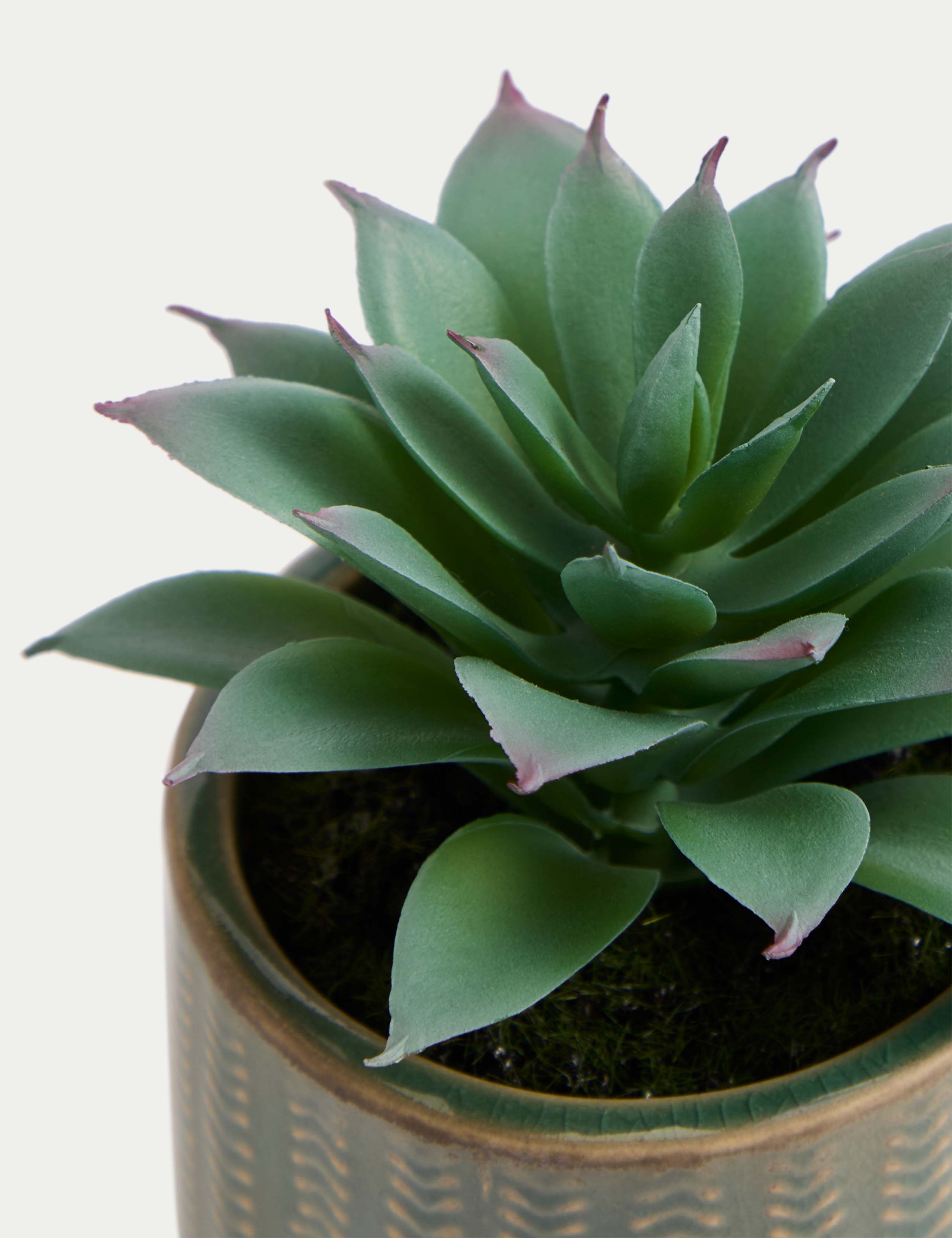 Artificial Mini Succulent in Ceramic Pot 4 of 5