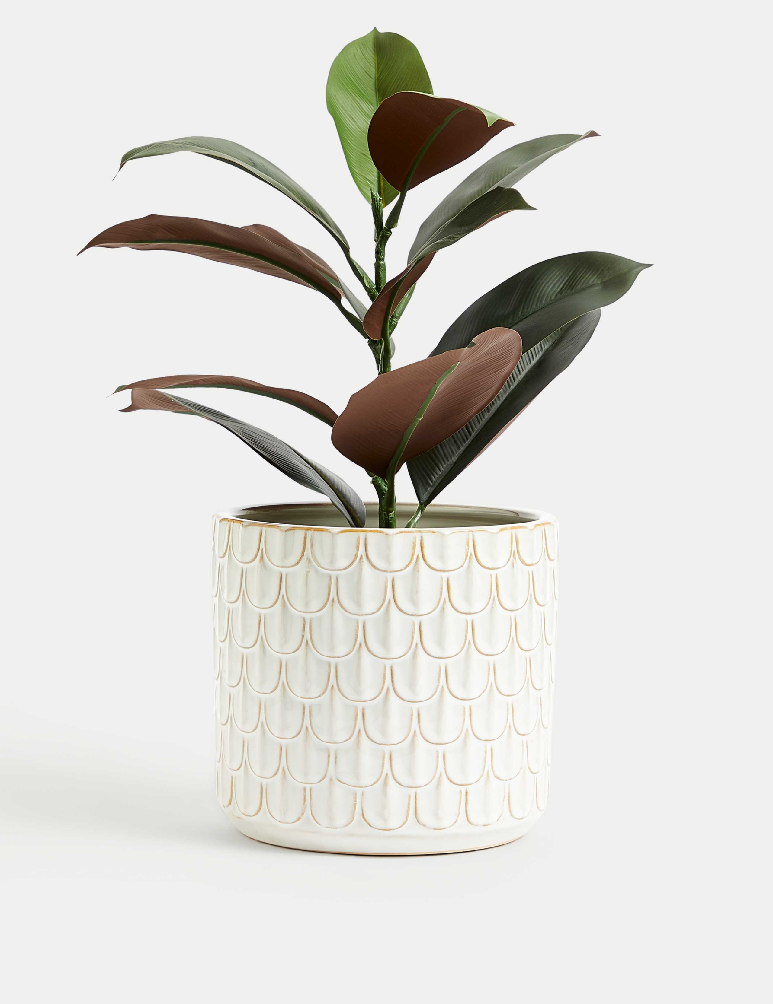 Medium Scalloped Textured Planter 2 of 5