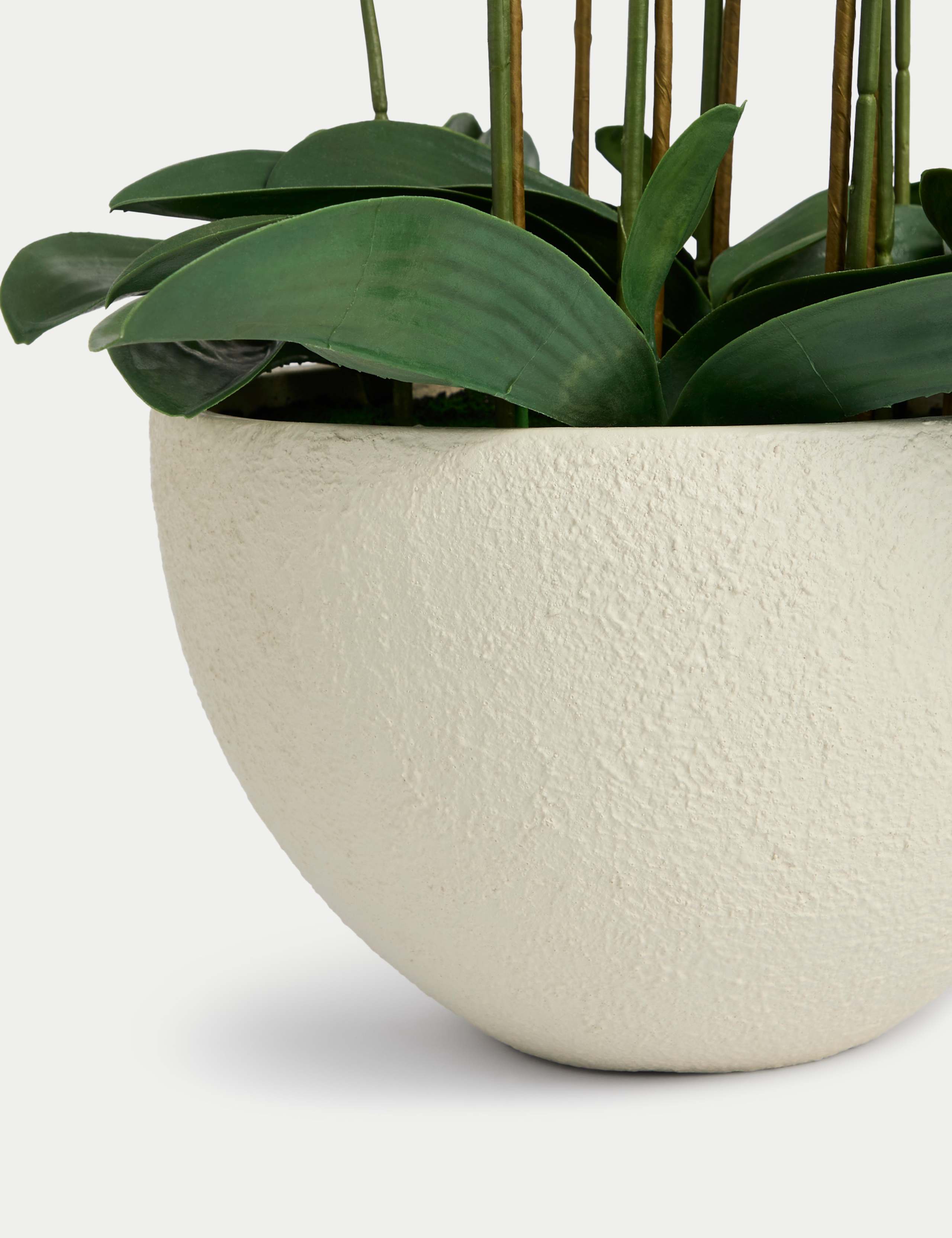Artificial Extra Large Orchid in Ceramic Pot 3 of 3
