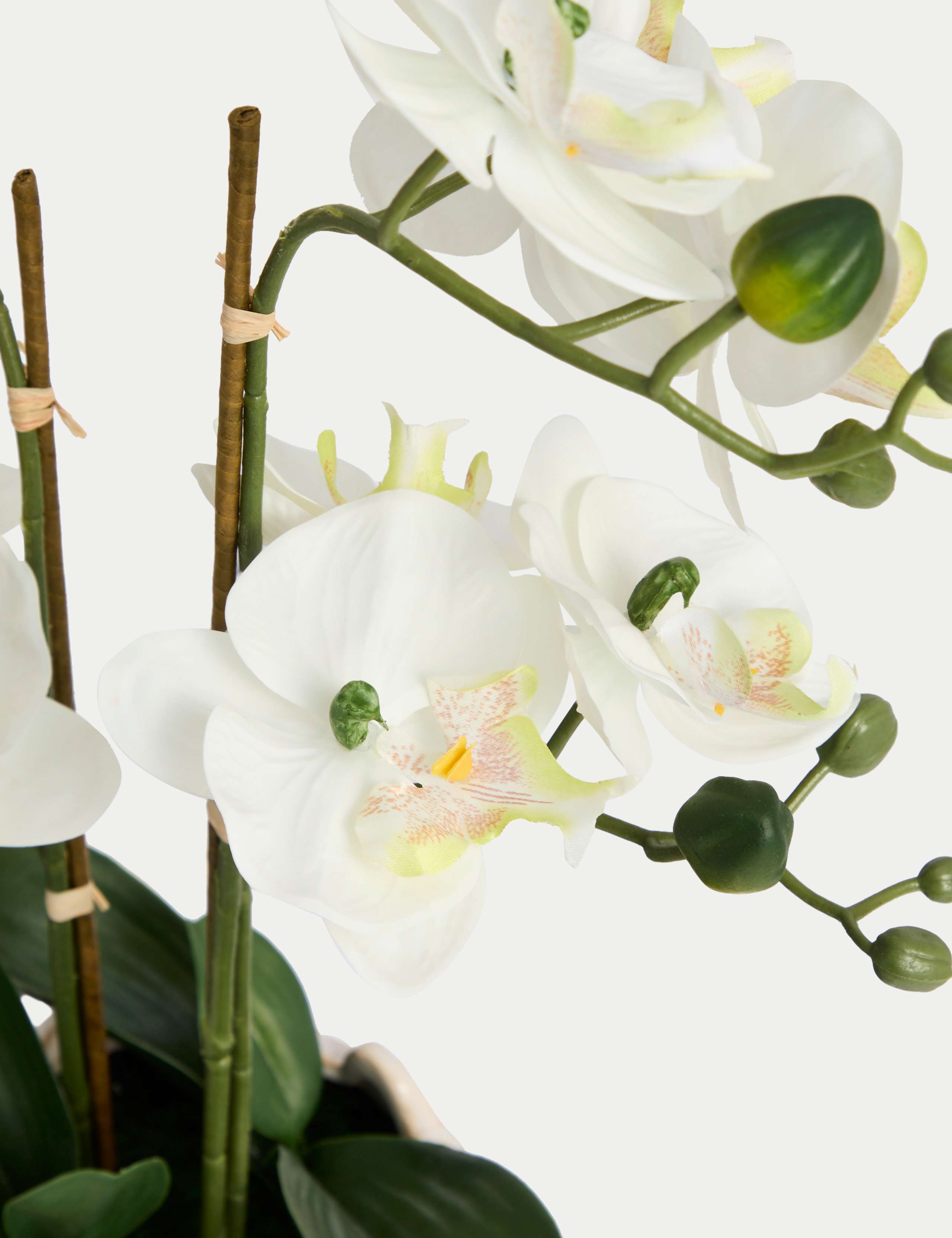 Artificial Orchid Arrangement in Ceramic Pot 2 of 3