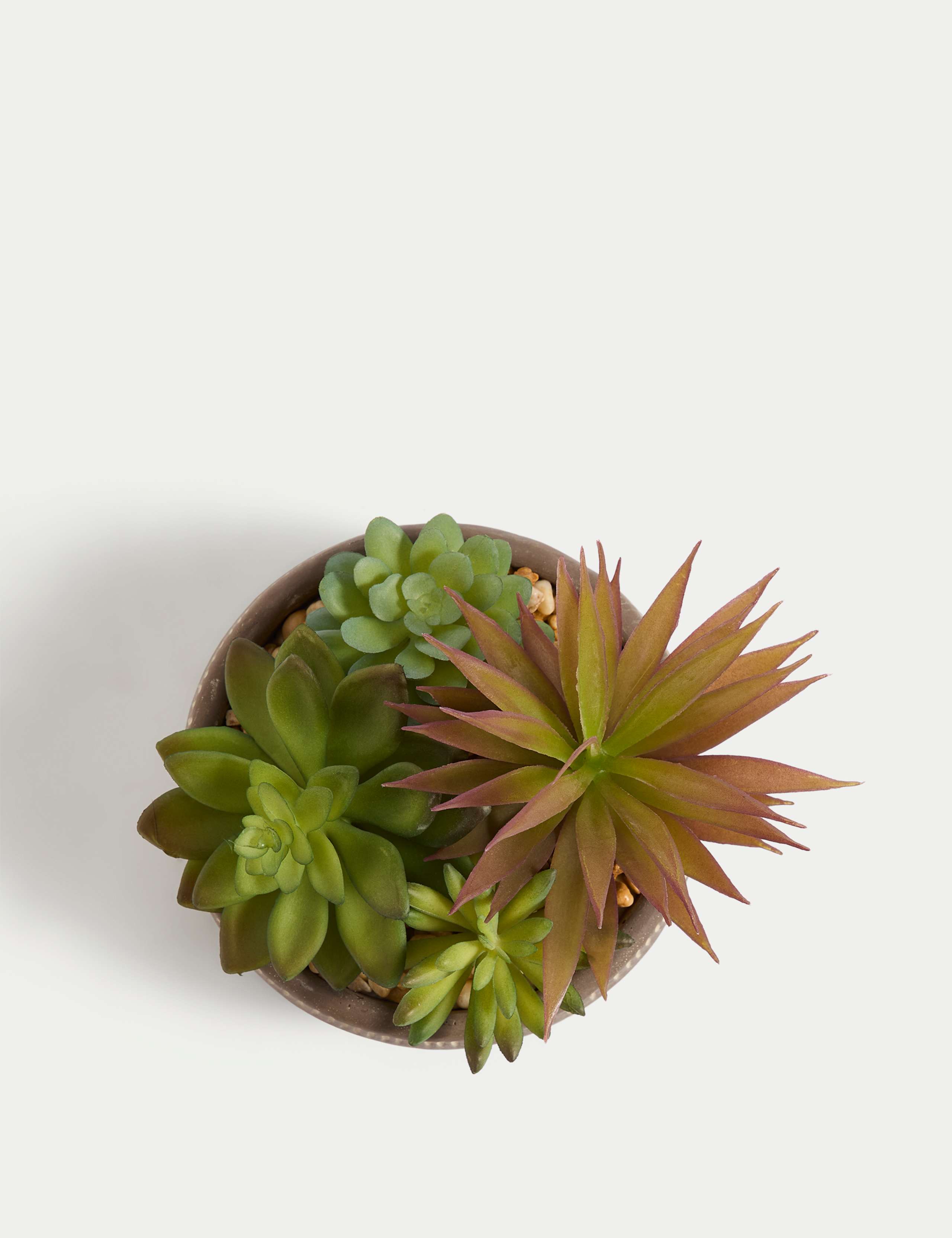 Artificial Succulents in Concrete Pot 4 of 5
