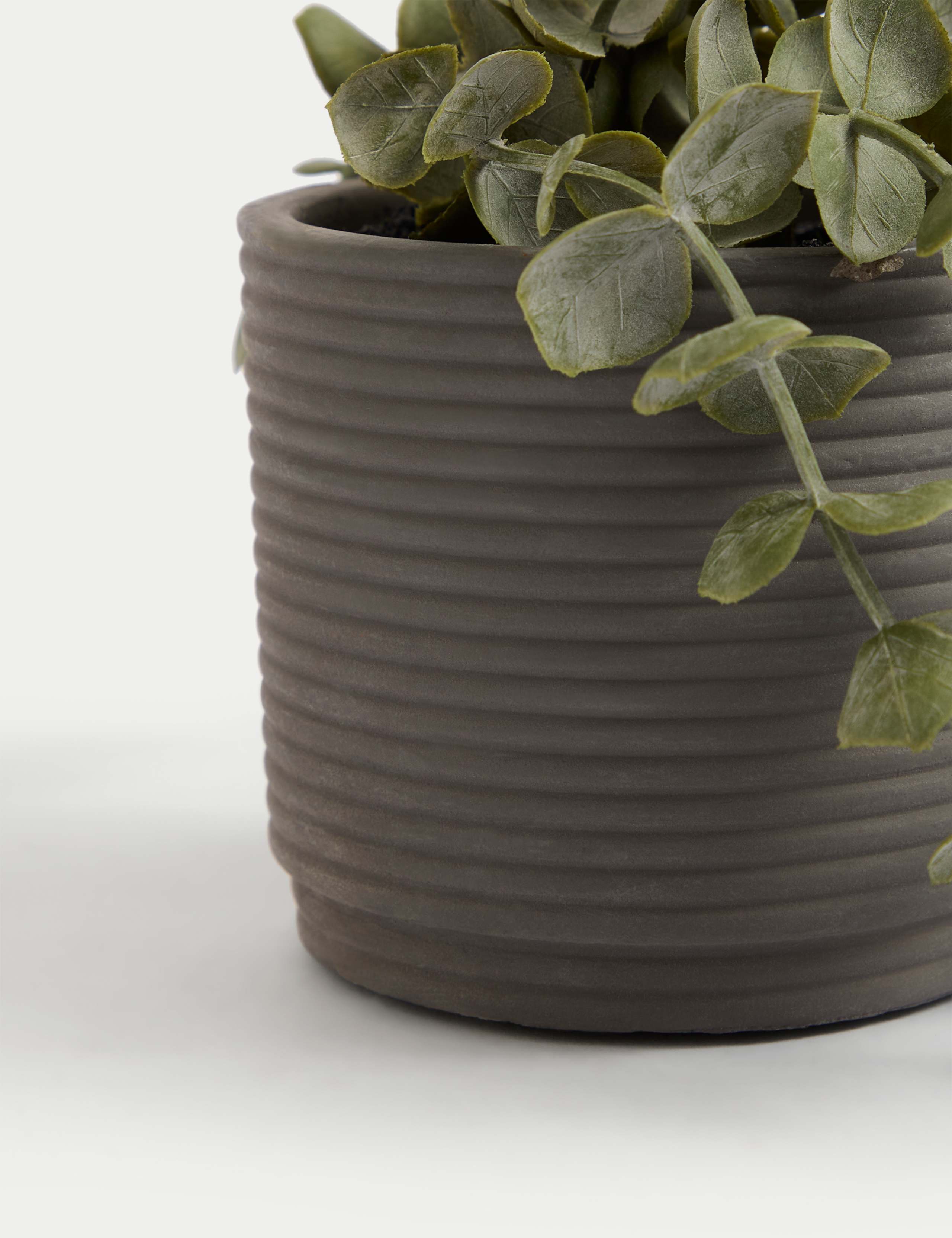 Artificial String of Hearts in Concrete Pot 3 of 4