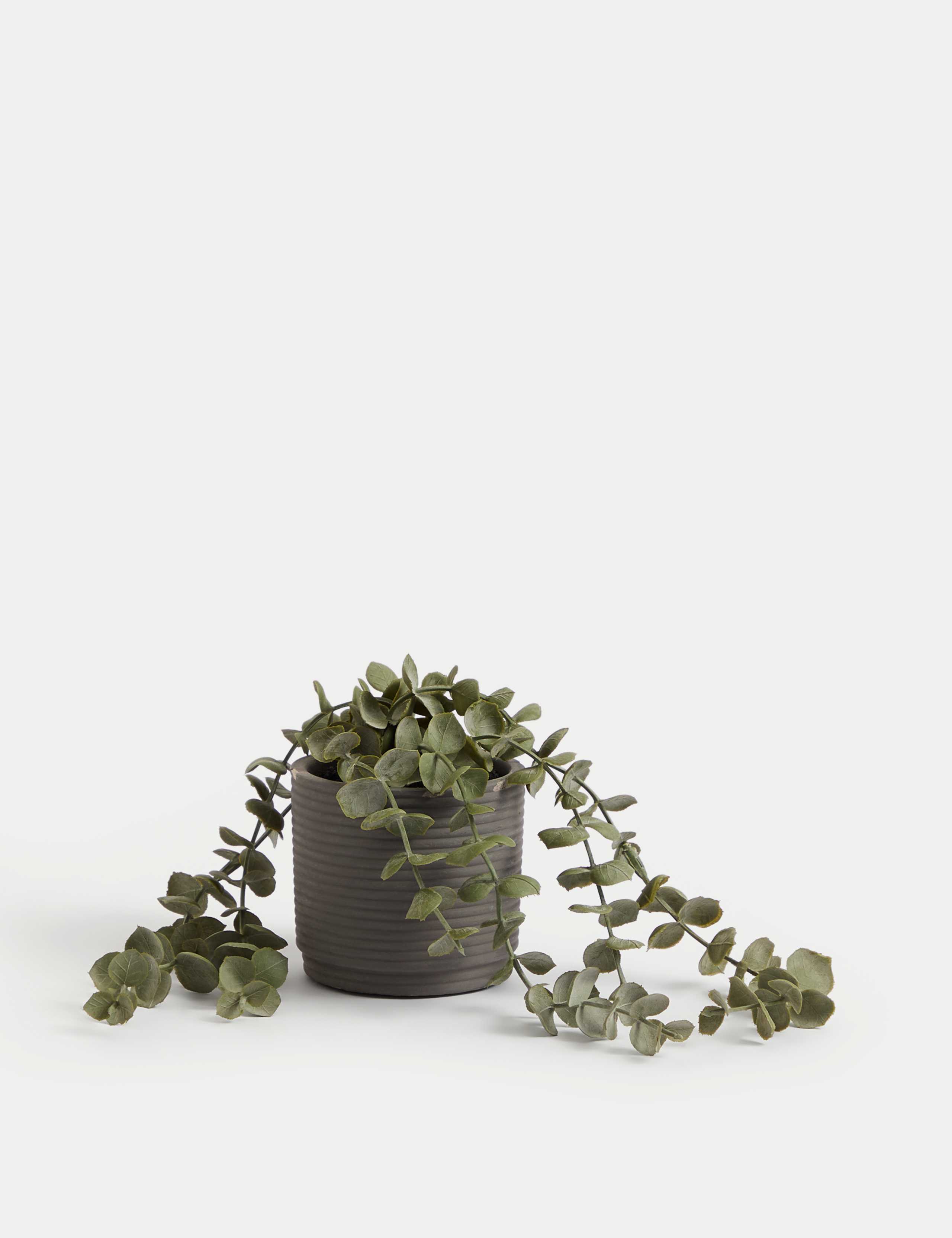 Artificial String of Hearts in Concrete Pot 2 of 4