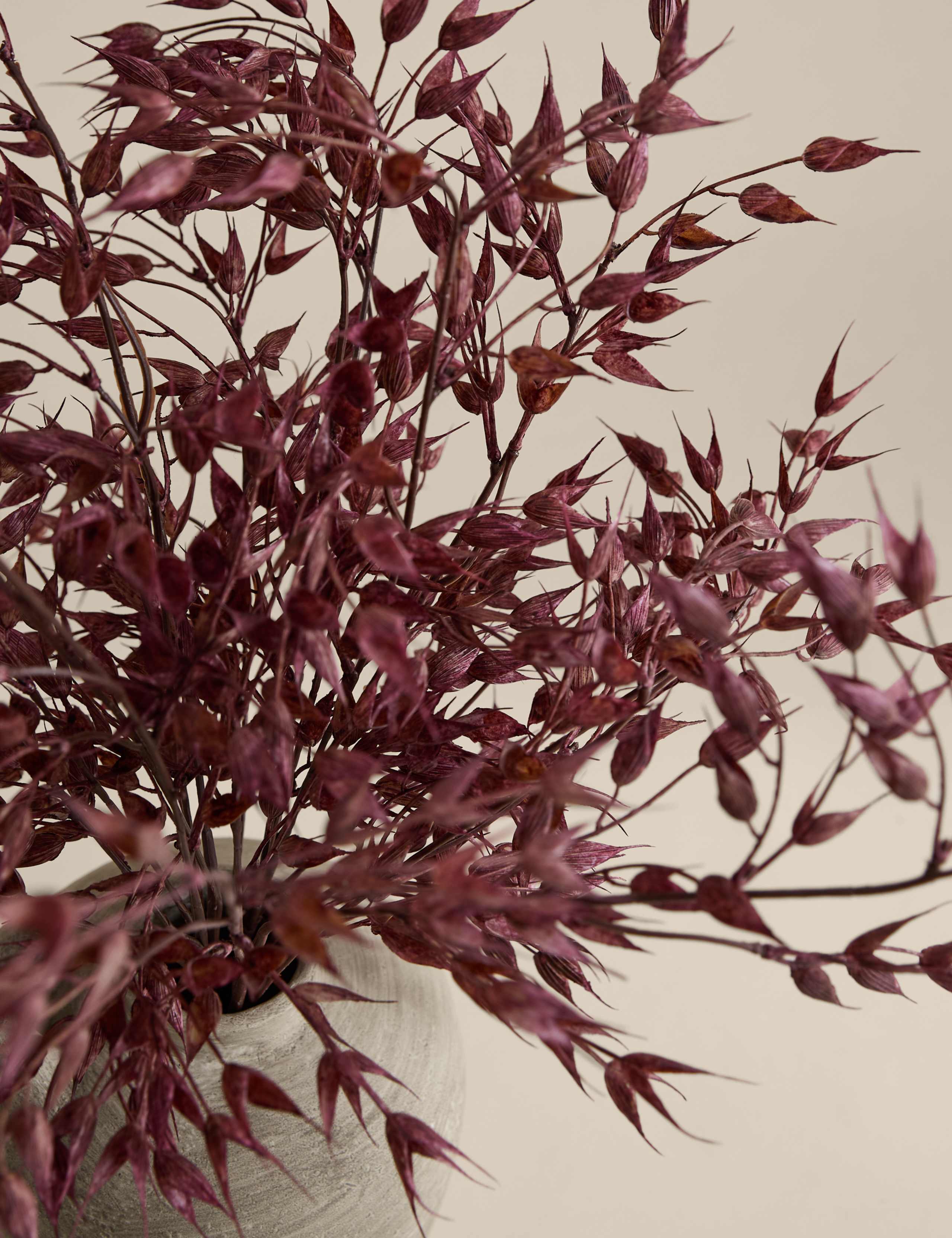Artificial Ruscus Arrangement in Resin Pot 2 of 3