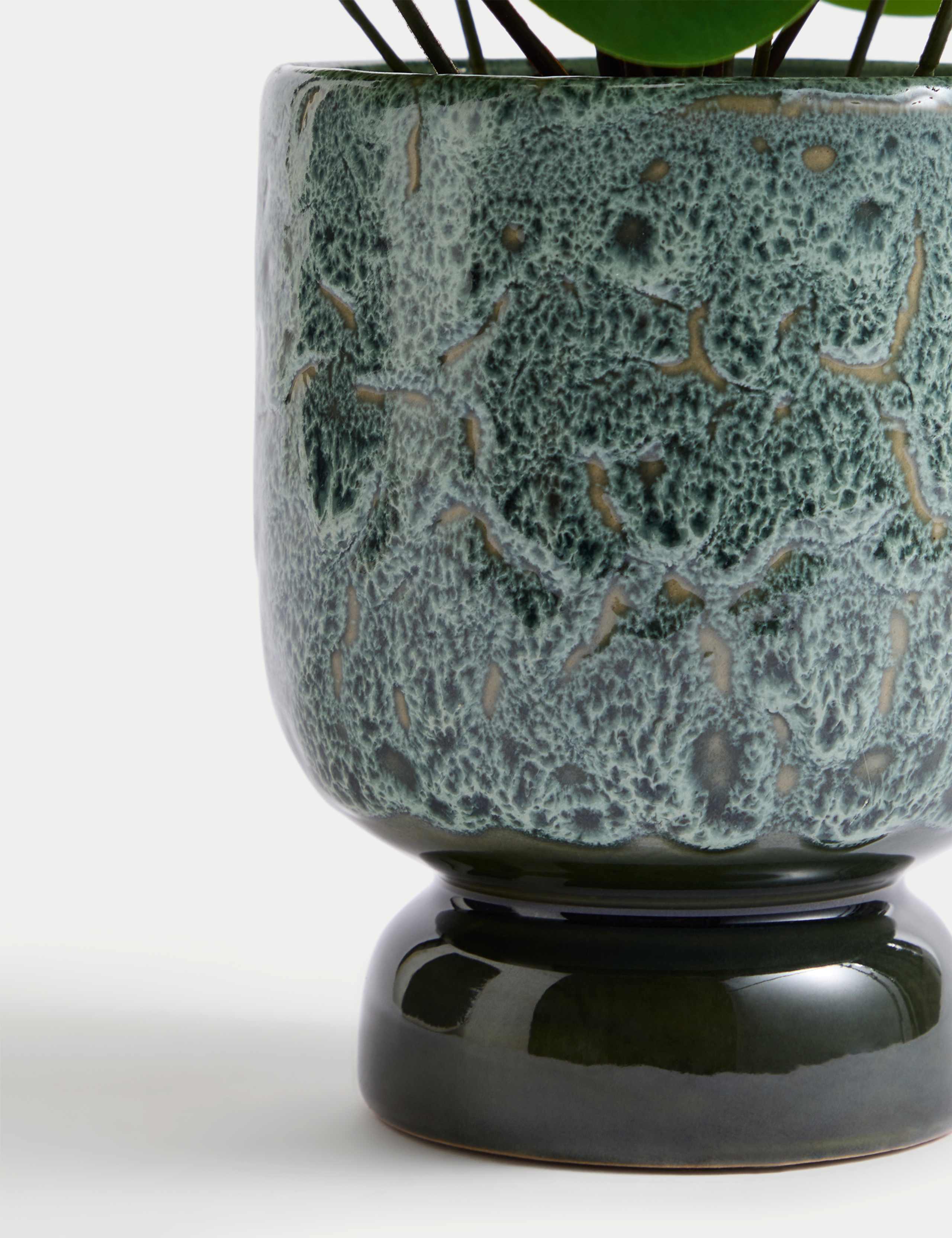 Artificial Chinese Money Plant in Ceramic Pot 3 of 5