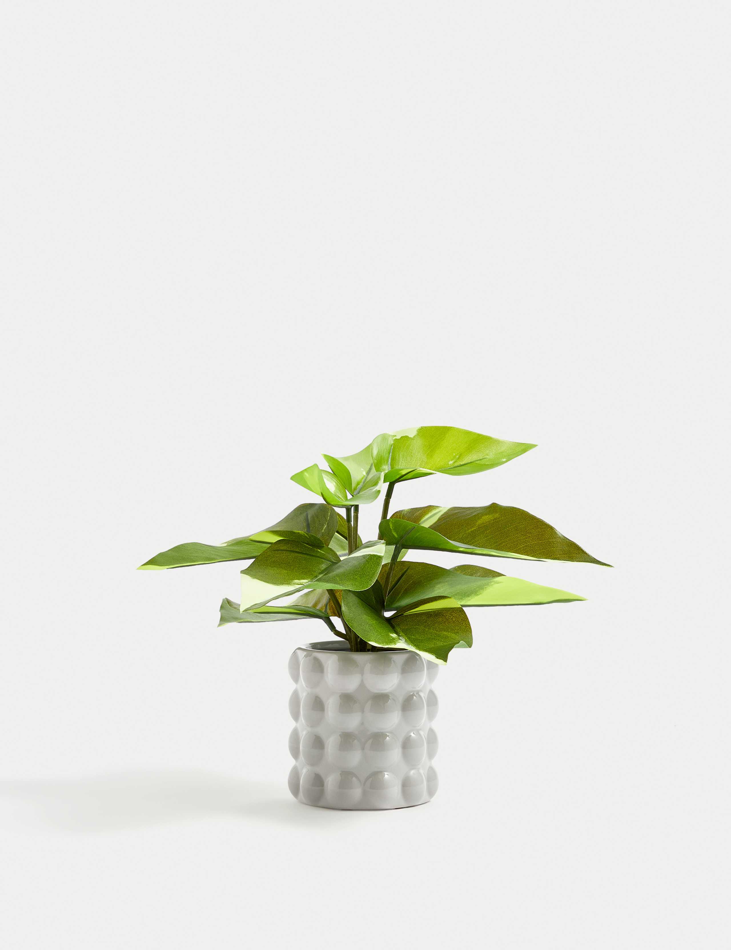 Artificial Philodendron in Ceramic Pot 1 of 3