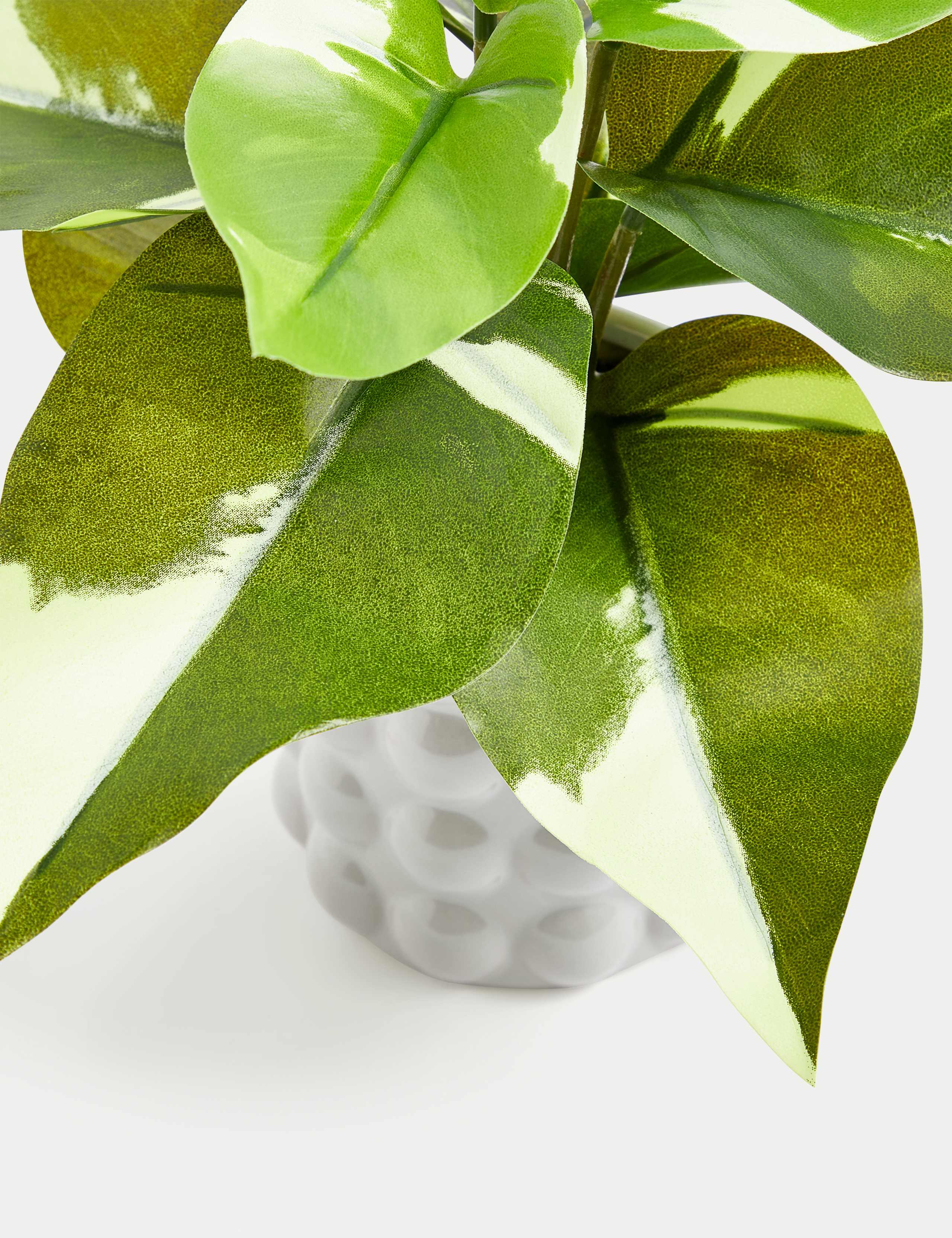 Artificial Philodendron in Ceramic Pot 3 of 3